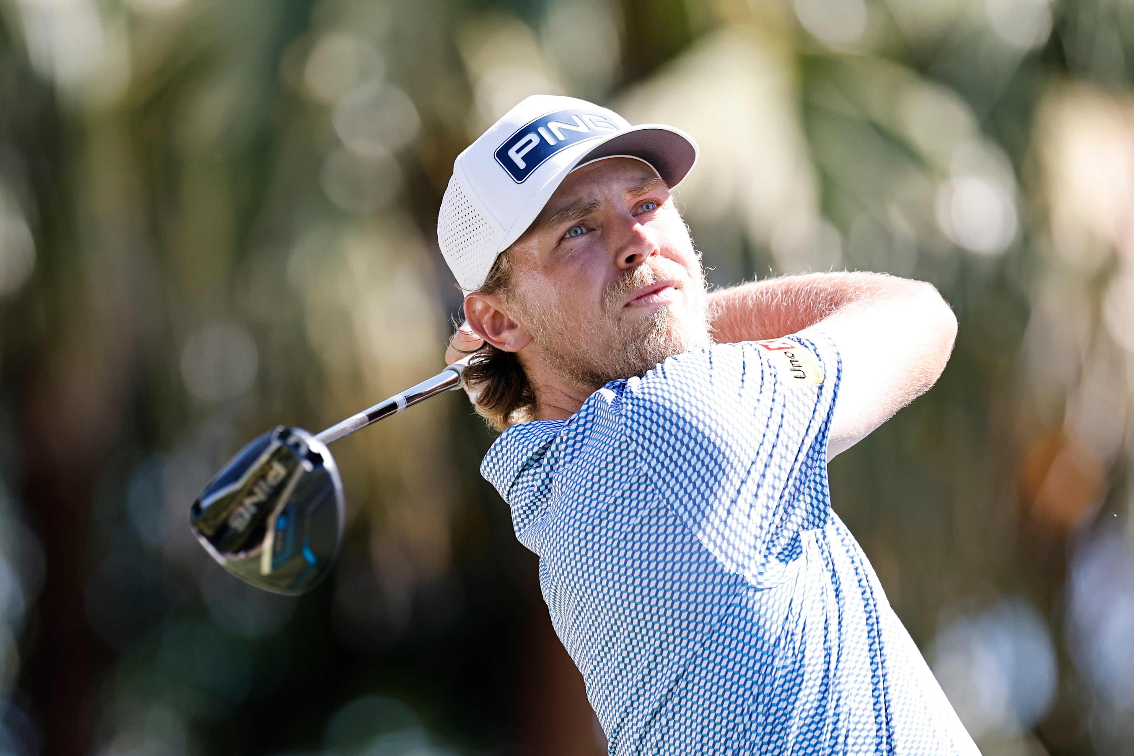 Kristoffer Reitan betting profile: Truist Championship