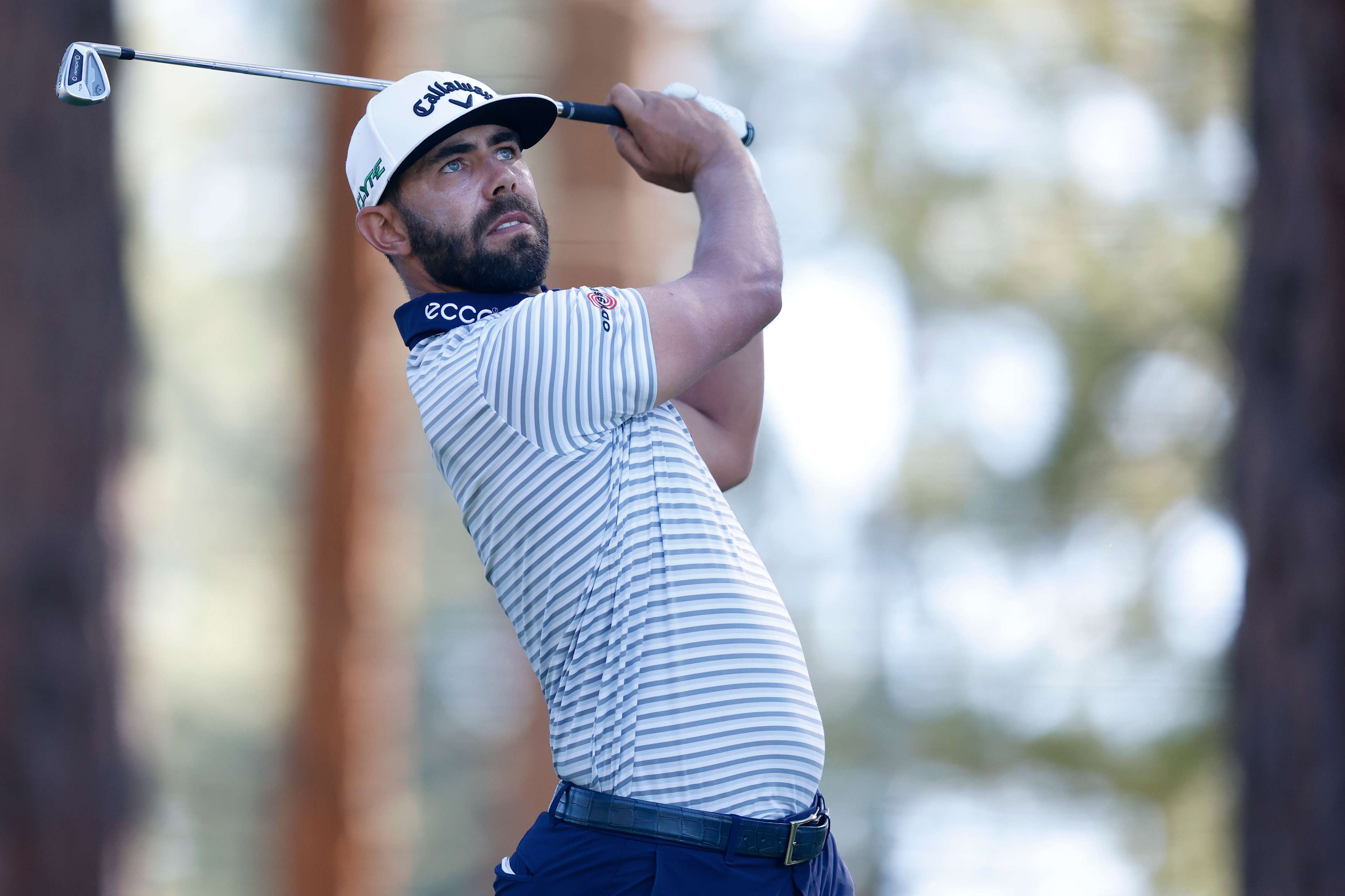 Erik van Rooyen betting profile: Valspar Championship