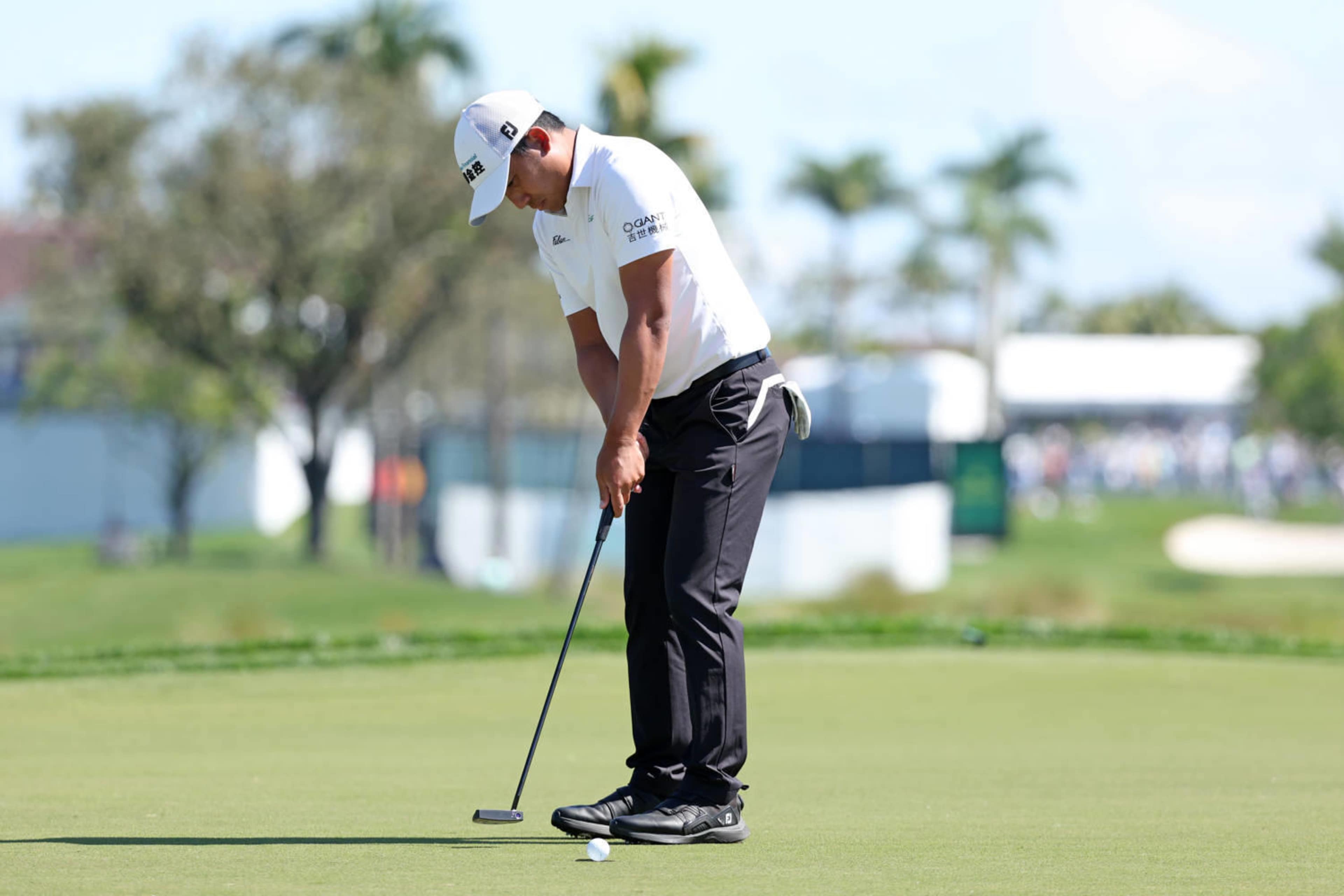 C.T. Pan betting profile: Texas Children's Houston Open