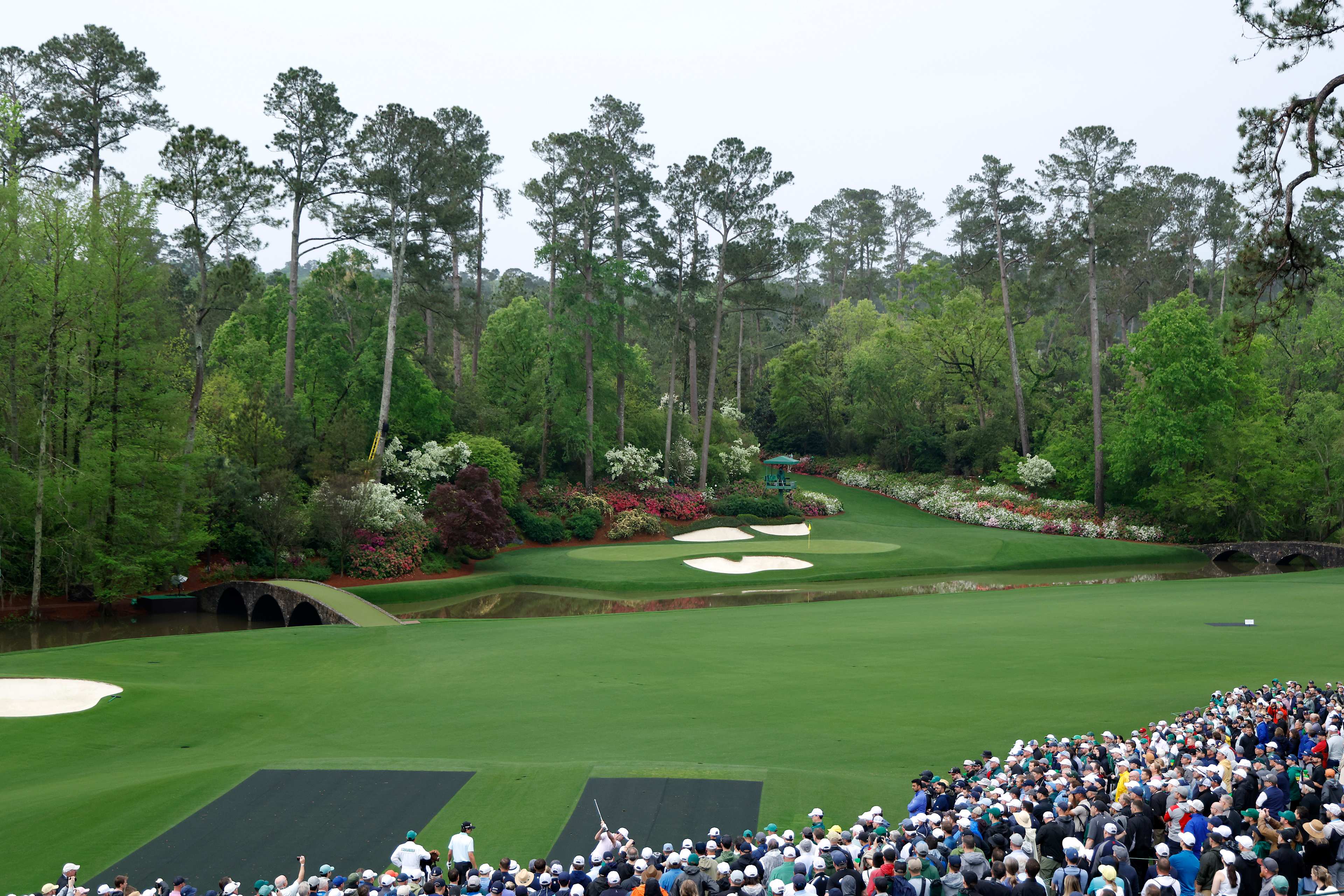Evan Beck betting profile: Masters Tournament