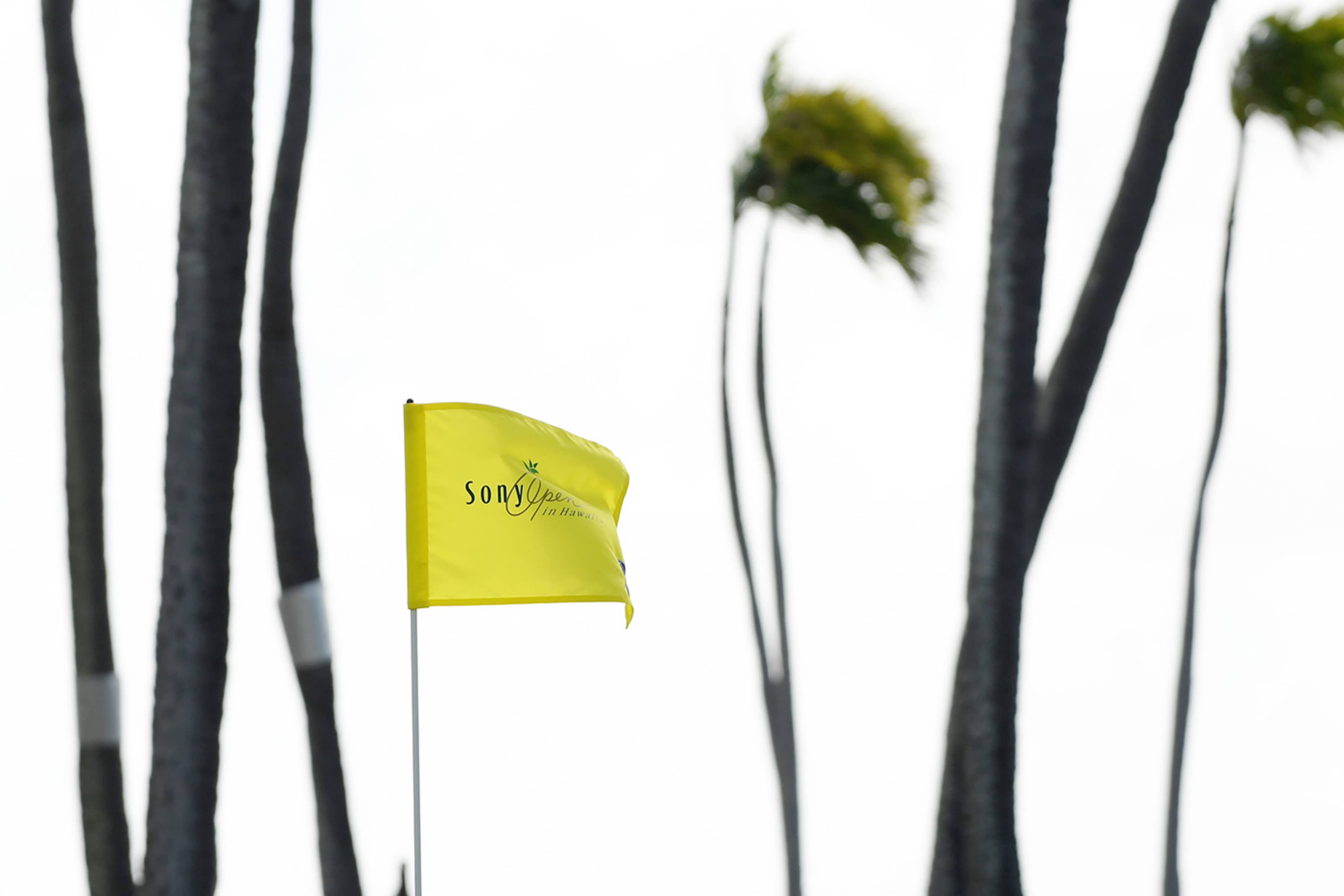 Image for article.