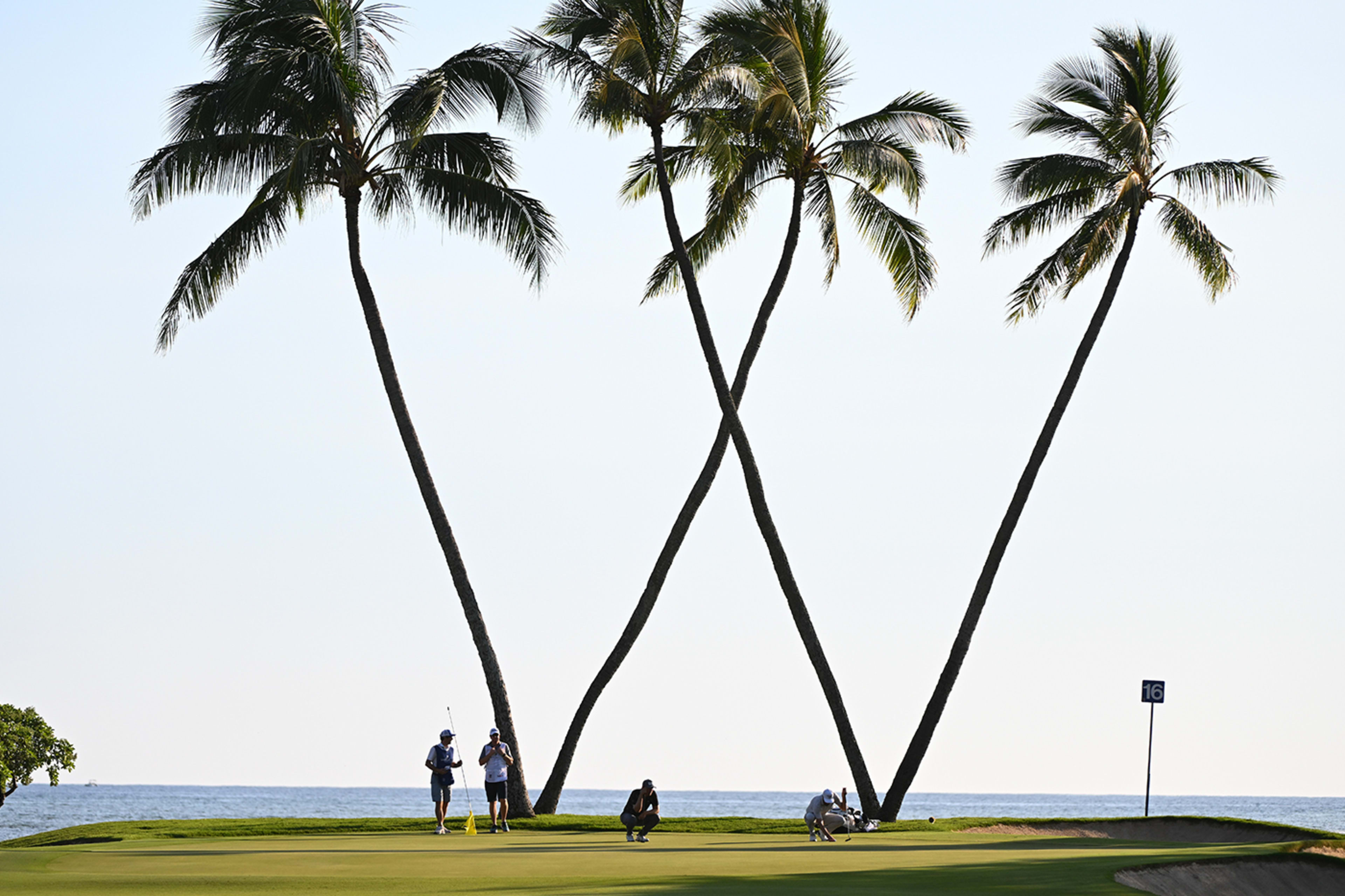 The First Look: Woodland's return among top storylines for Sony Open in Hawaii