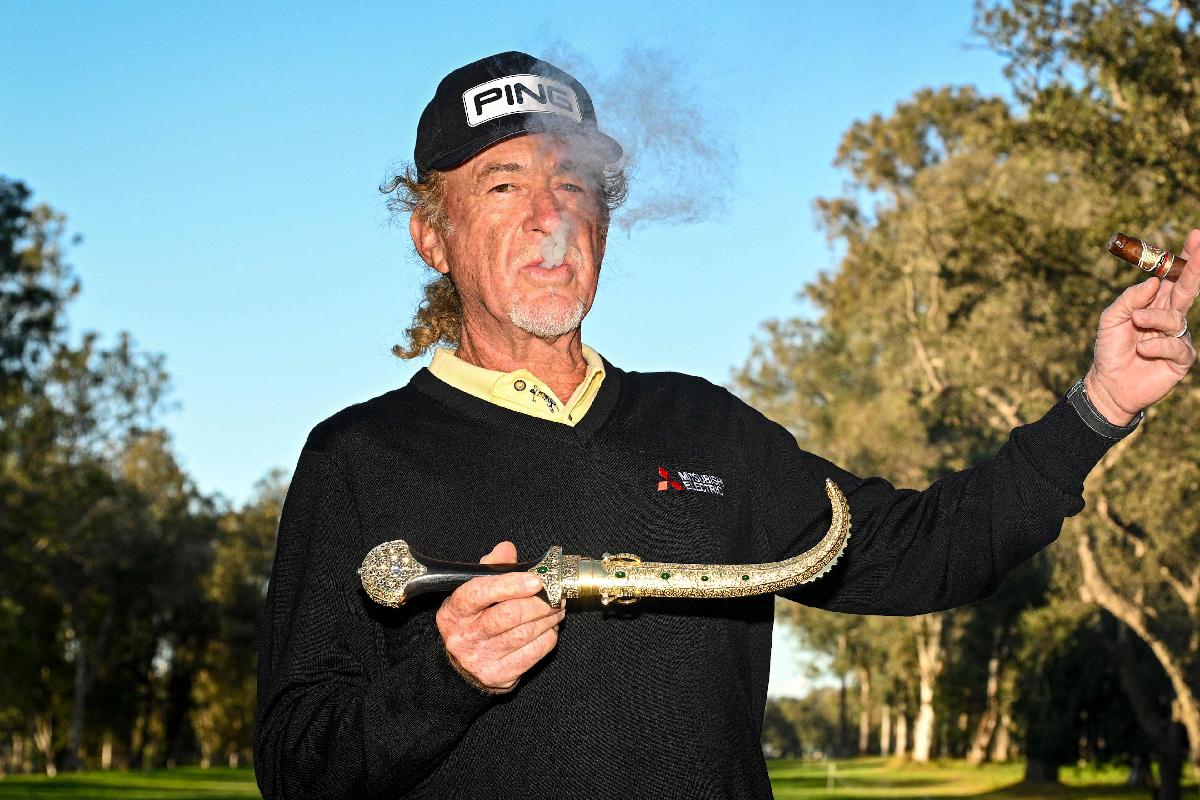 Image for article.