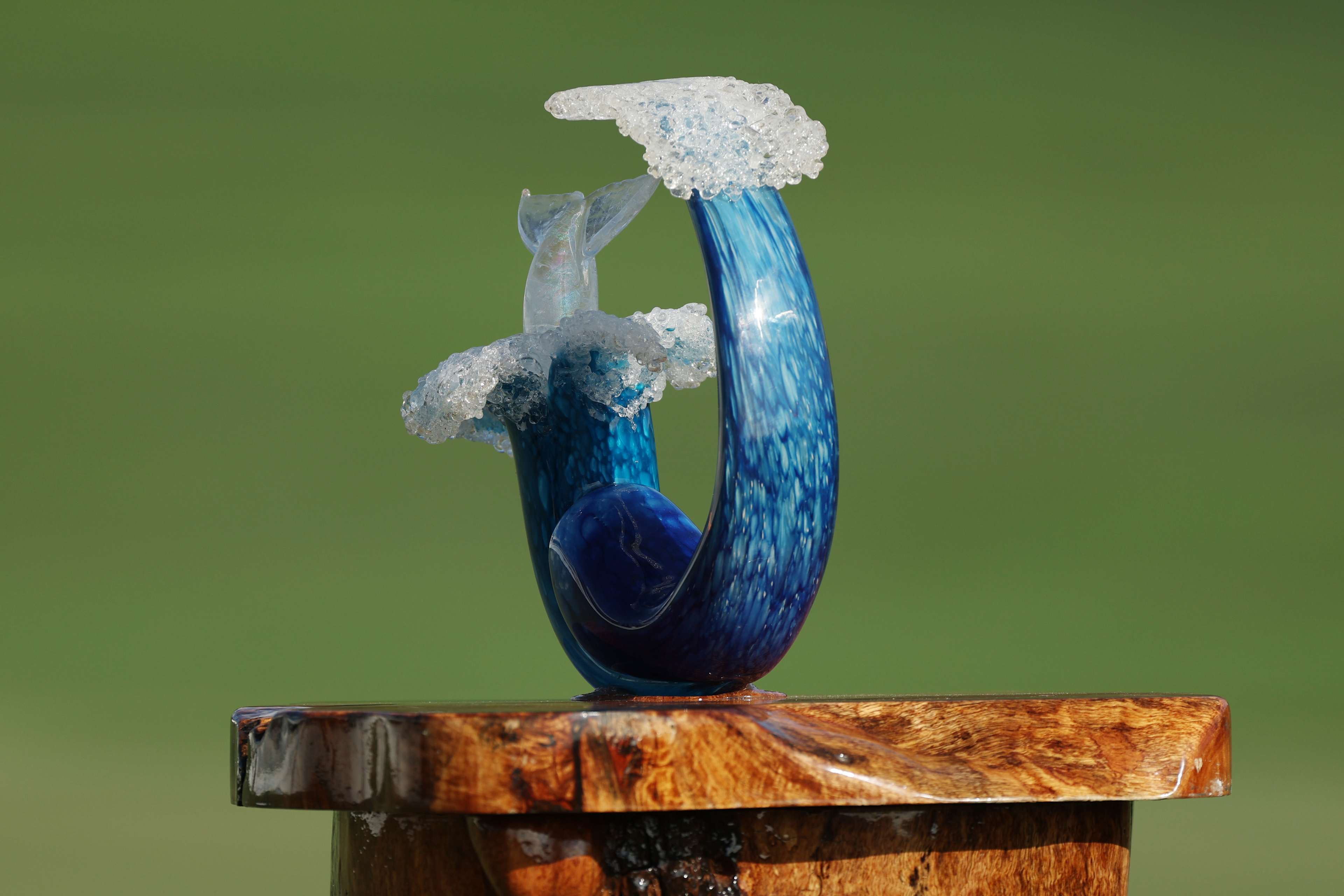 PGA TOUR announces The Sentry will not be contested at Kapalua in 2026