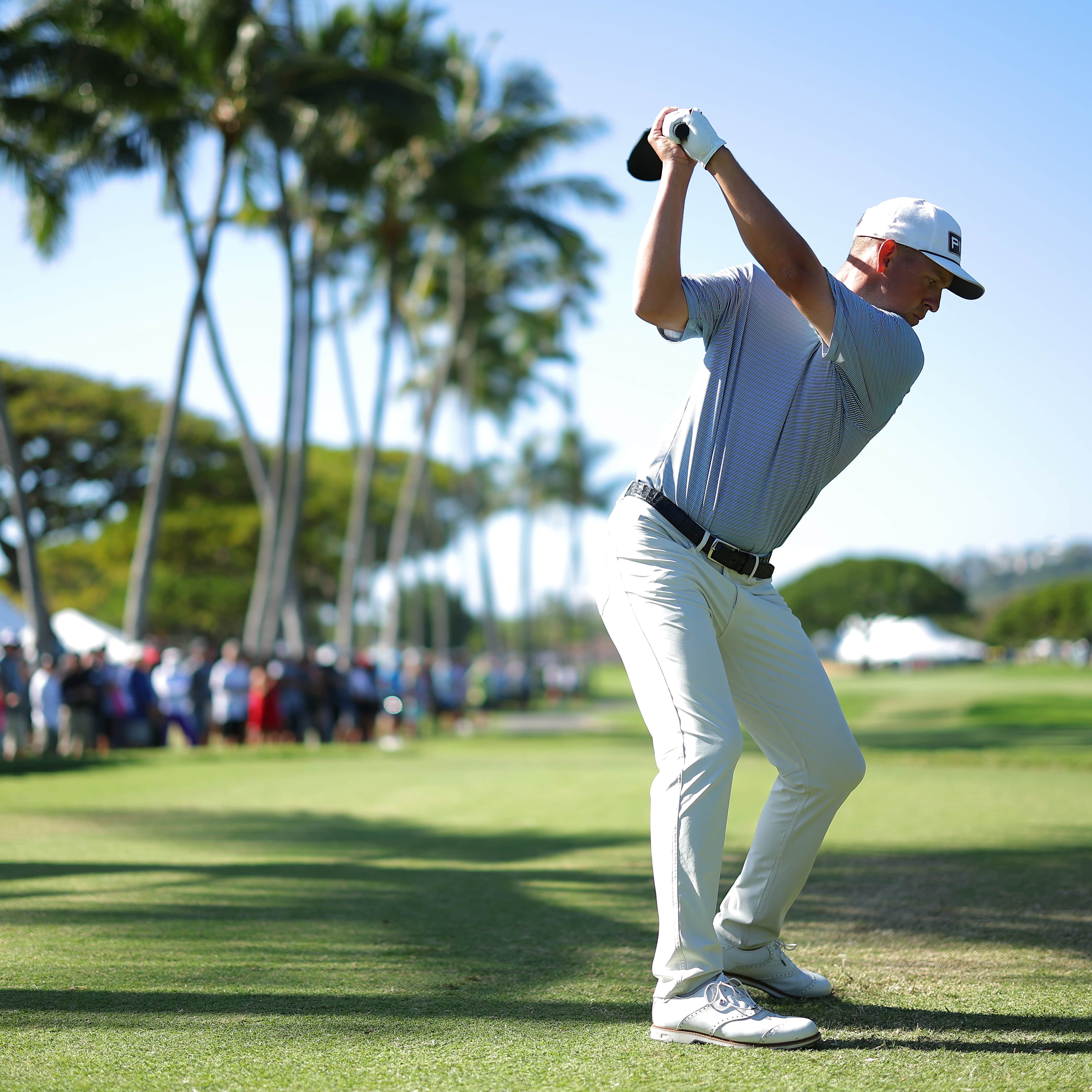 Sam Stevens betting profile: FedEx St. Jude Championship