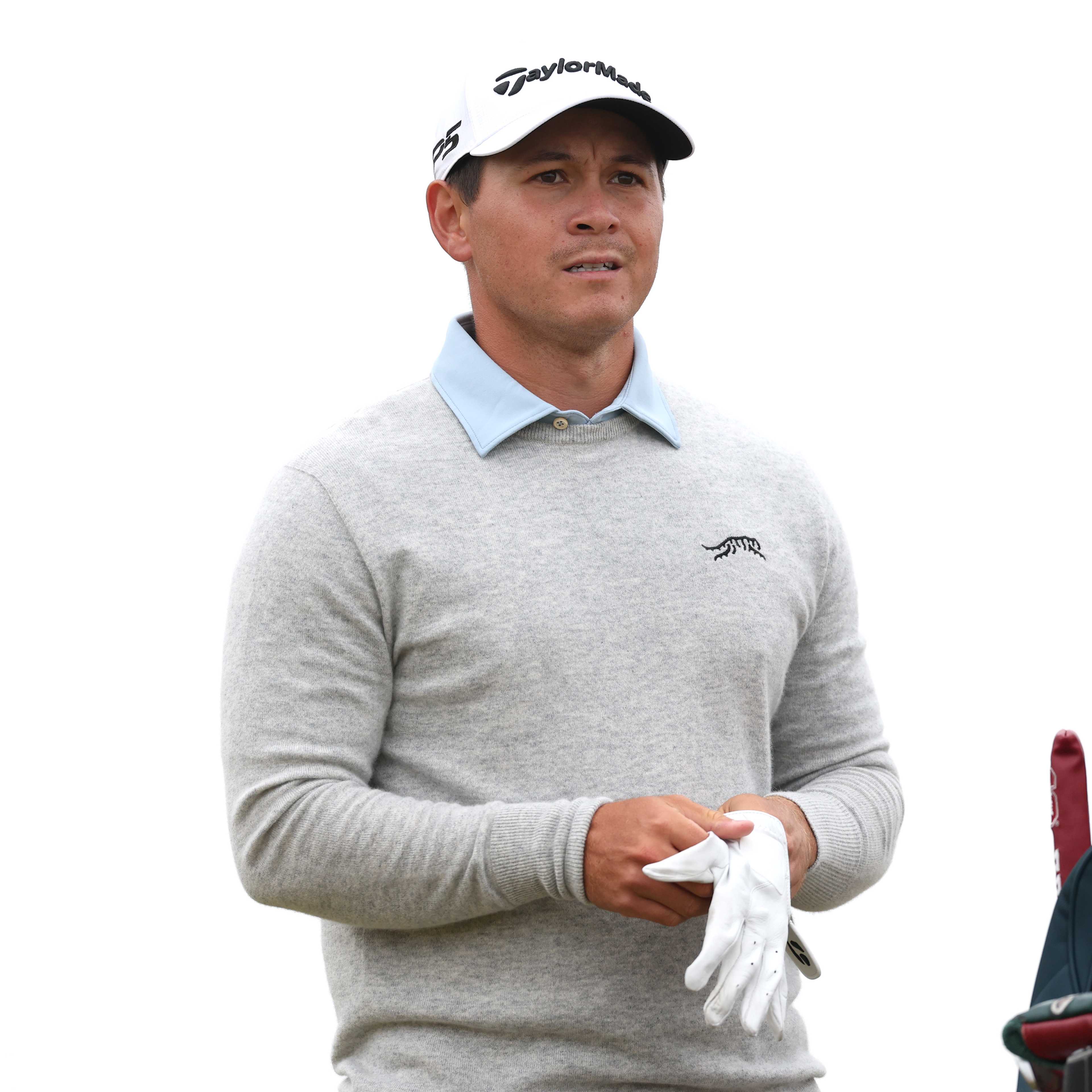 Karl Vilips betting profile: Biltmore Championship Asheville
