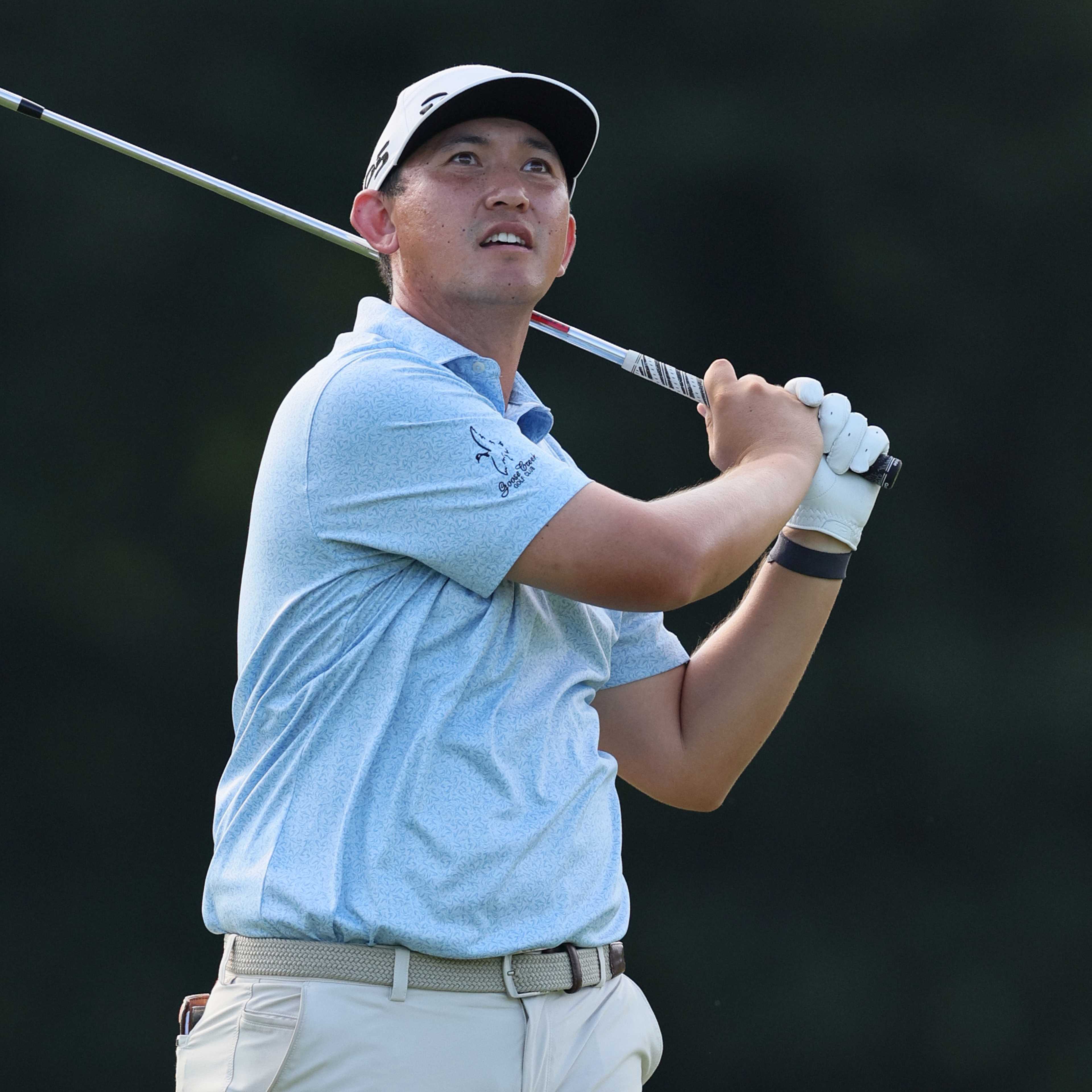 Richard Hoey betting profile: Biltmore Championship Asheville