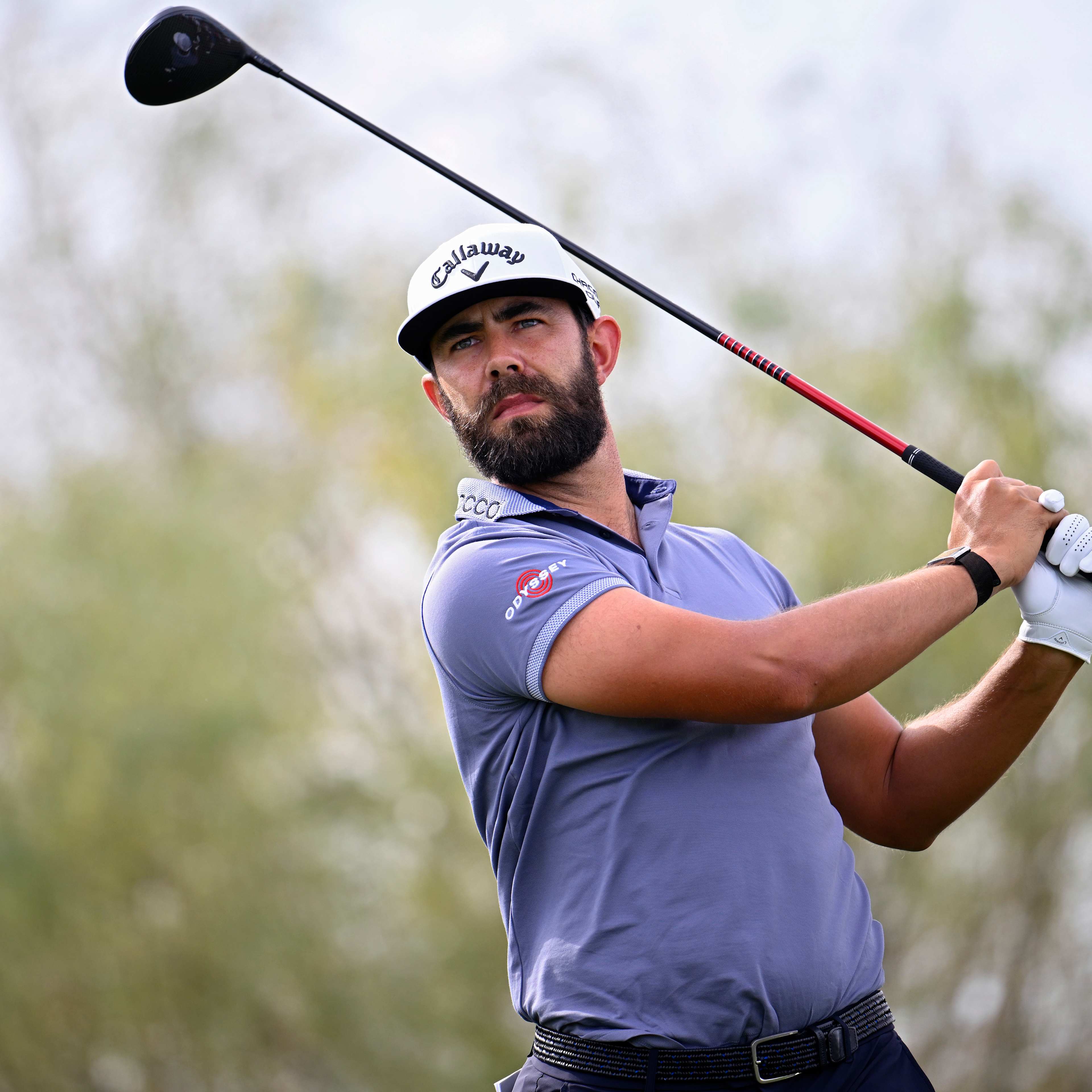 Erik van Rooyen betting profile: Cognizant Classic in the Palm Beaches