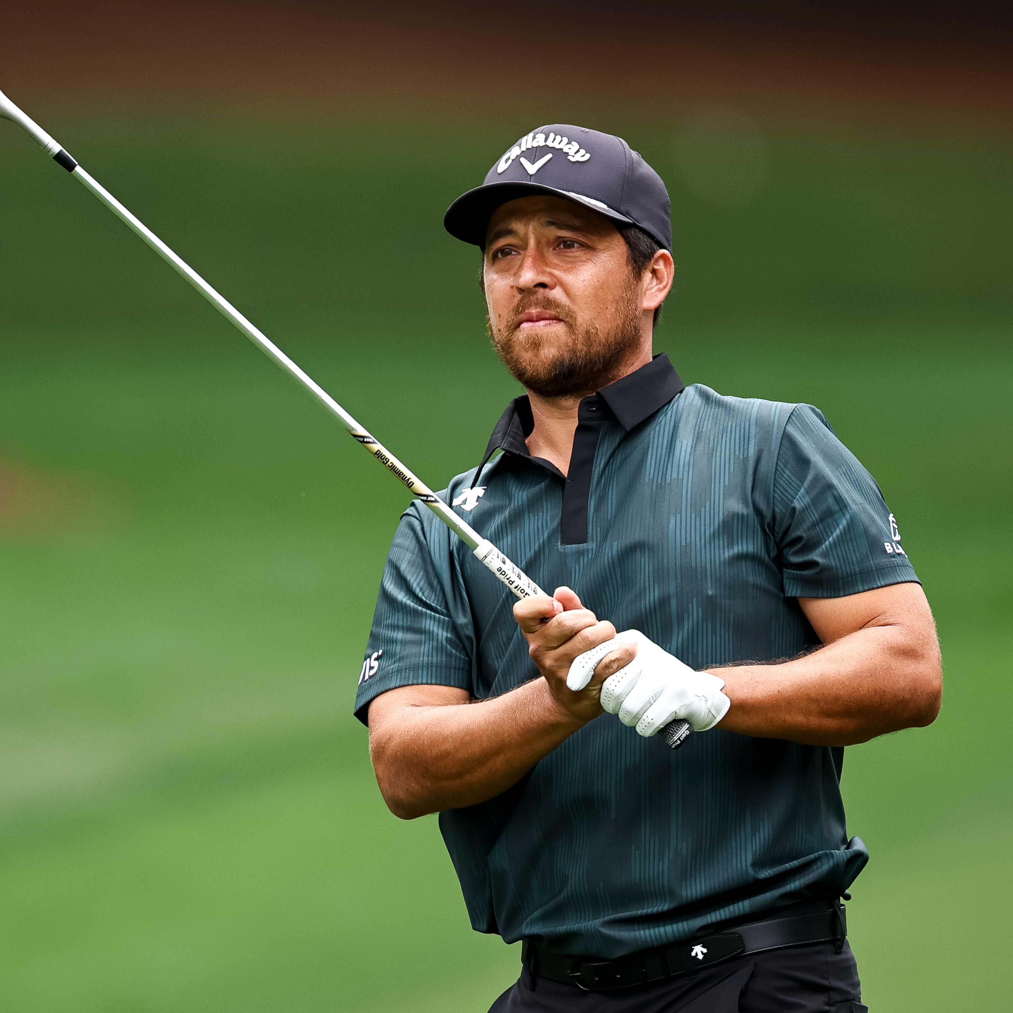 Xander Schauffele betting profile: PGA Championship