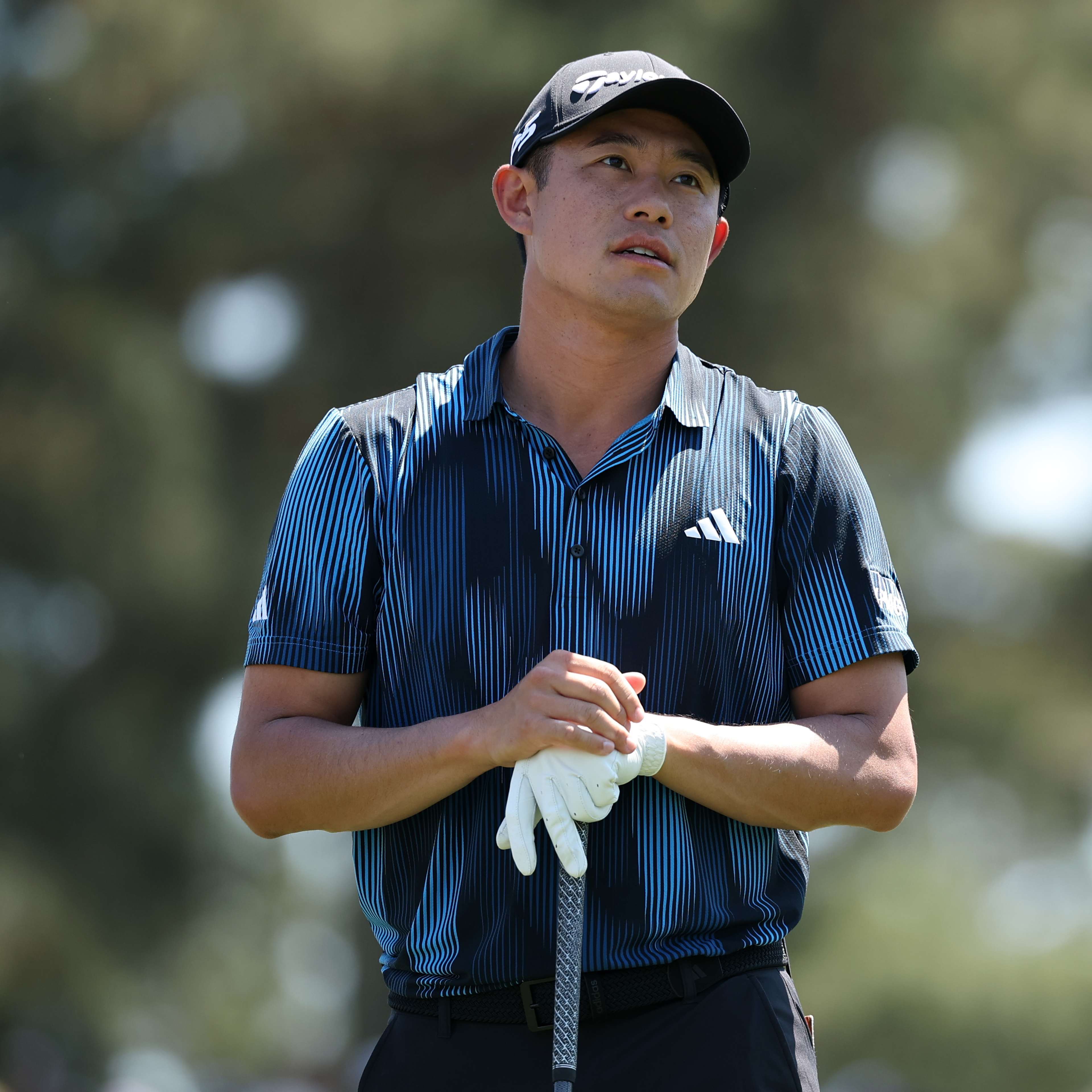 Collin Morikawa betting profile: RBC Heritage