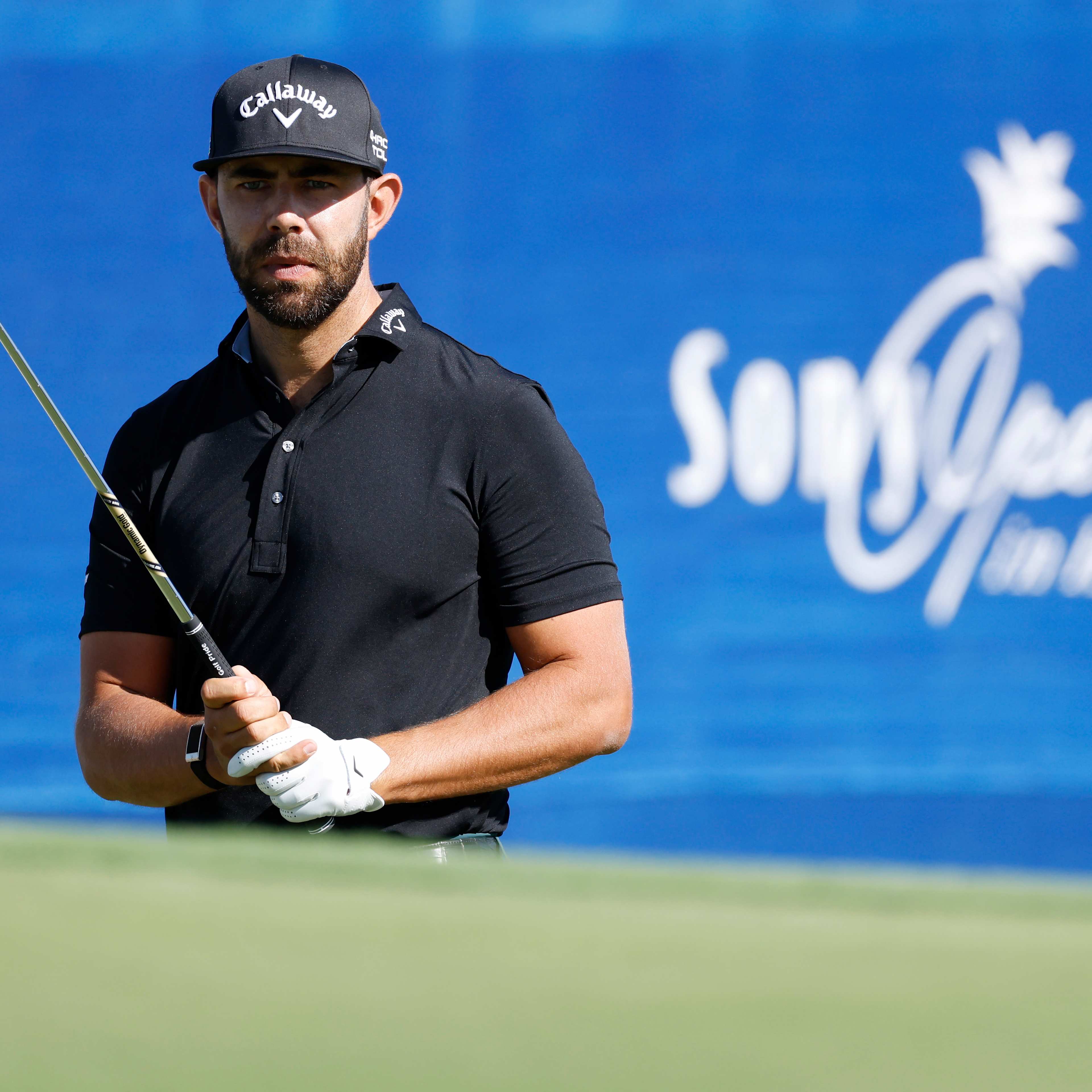 Erik van Rooyen betting profile: Sony Open in Hawaii