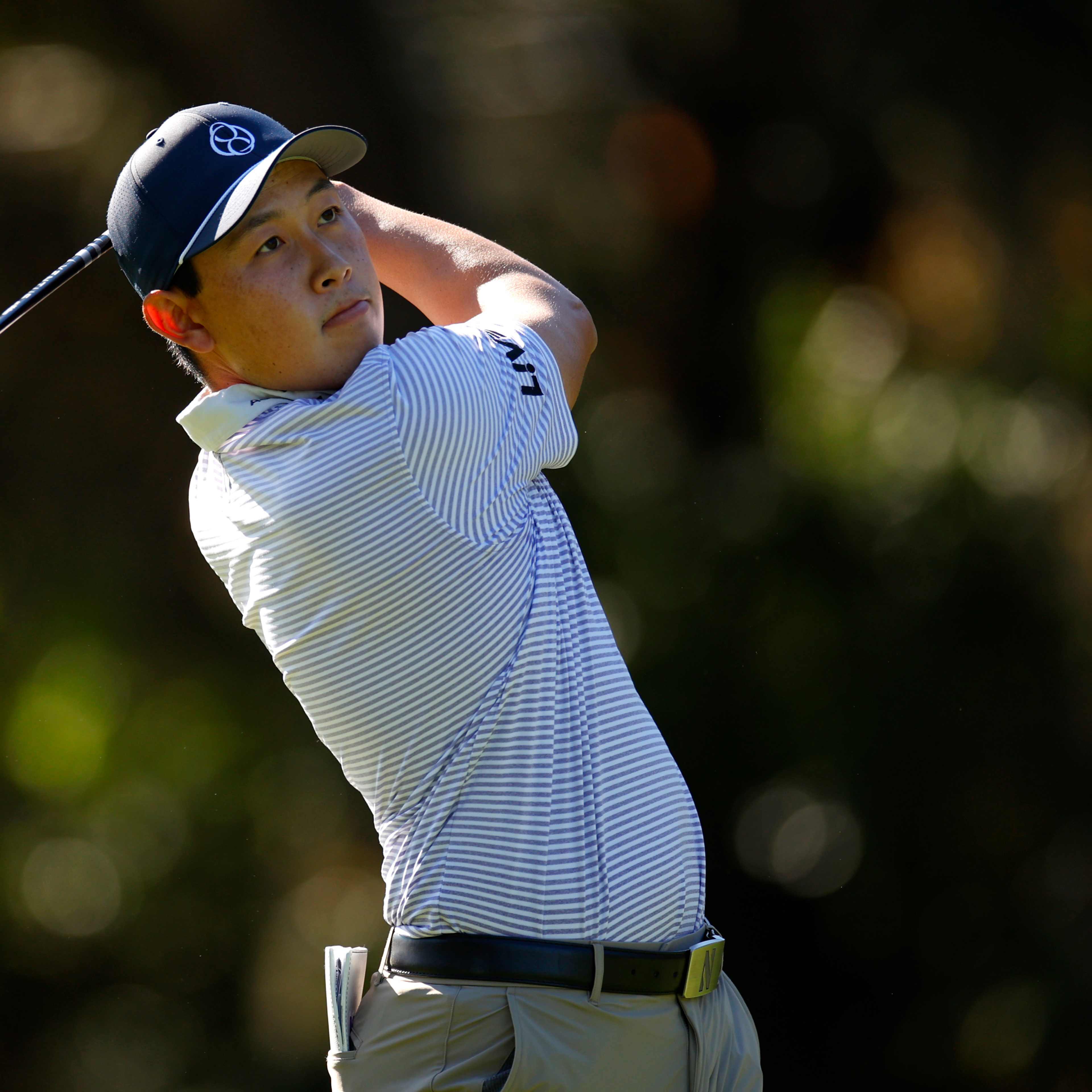 Dylan Wu betting profile: Sony Open in Hawaii