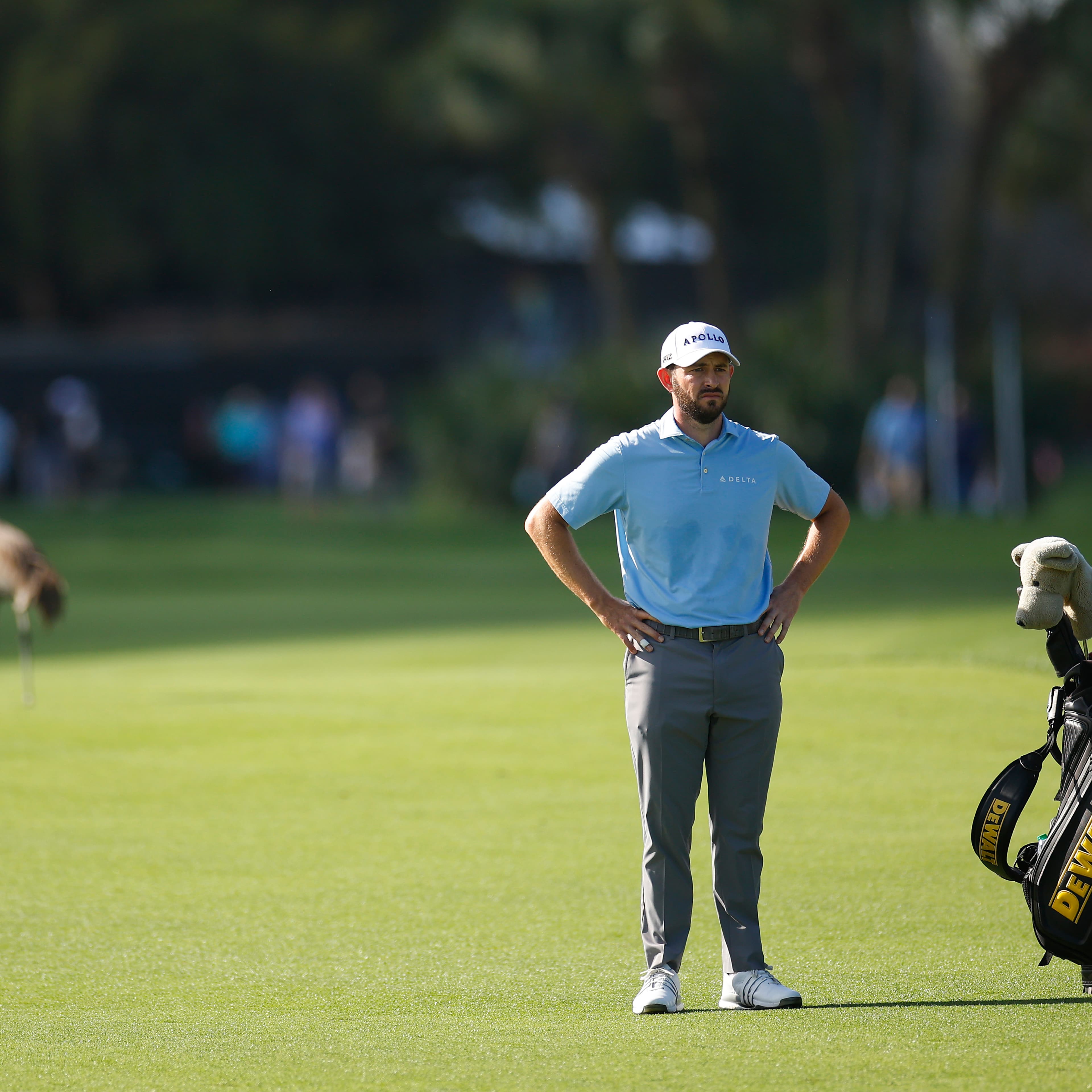 Patrick Cantlay betting profile: THE PLAYERS Championship