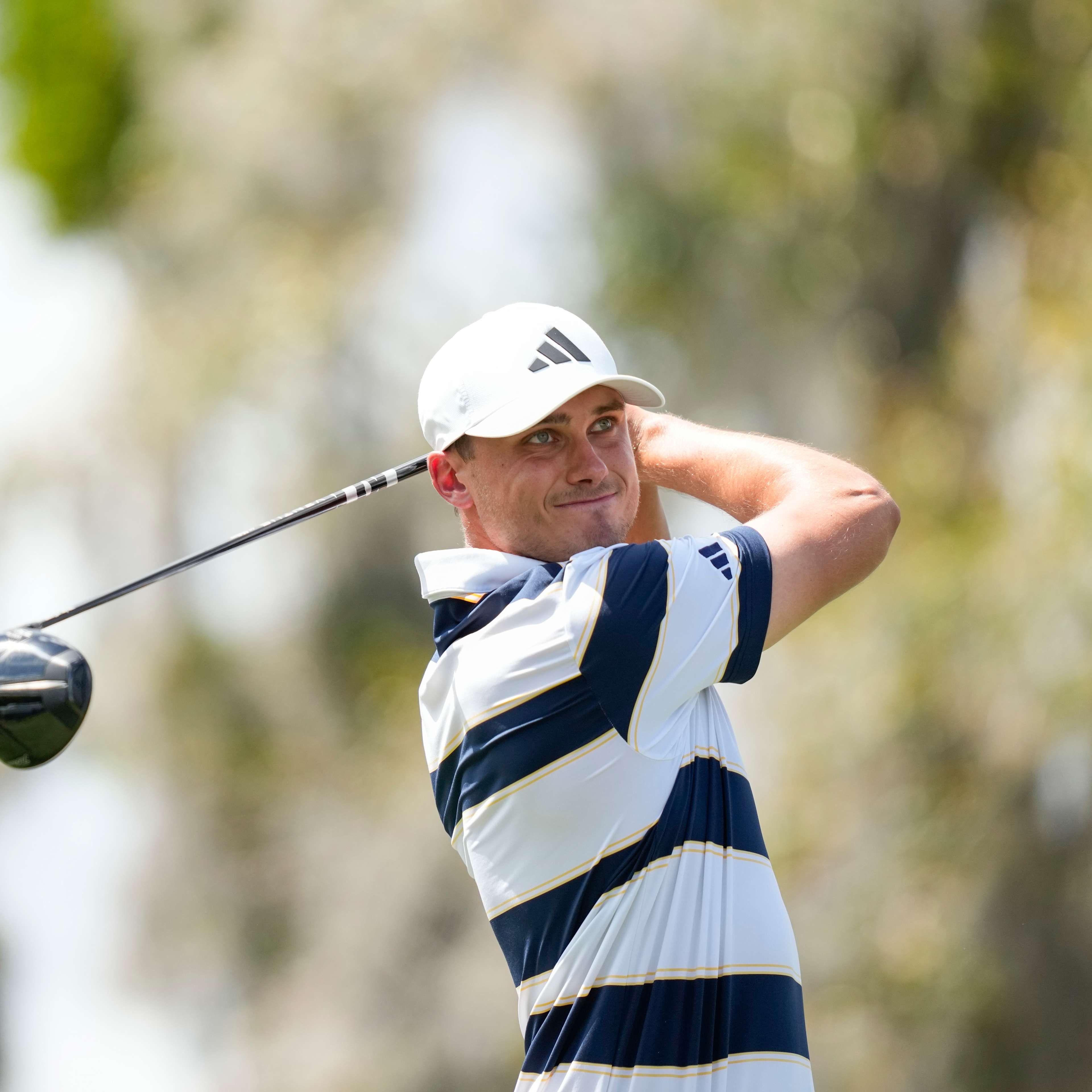 Ludvig Åberg betting profile: THE PLAYERS Championship