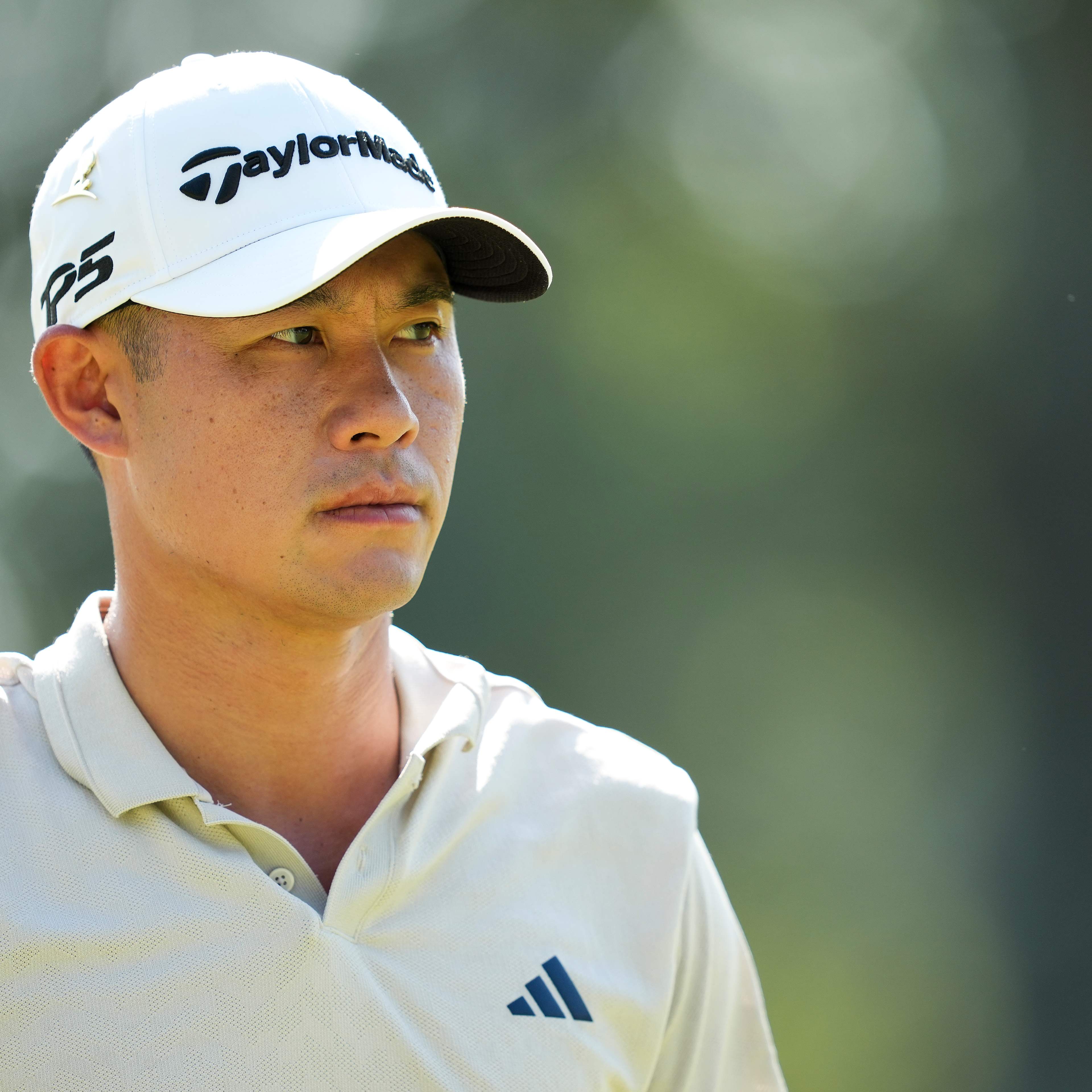 Collin Morikawa betting profile: TOUR Championship