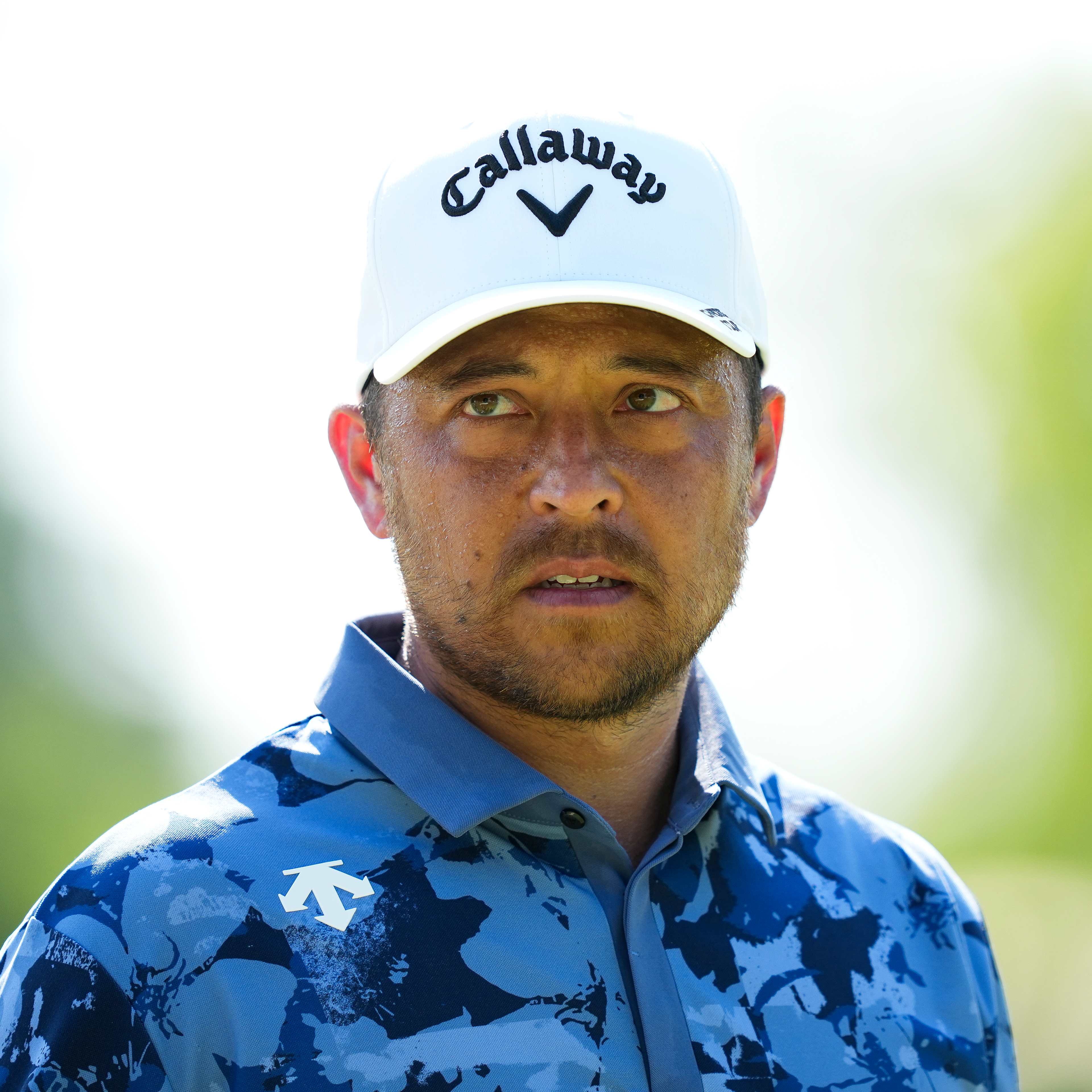 Xander Schauffele betting profile: TOUR Championship