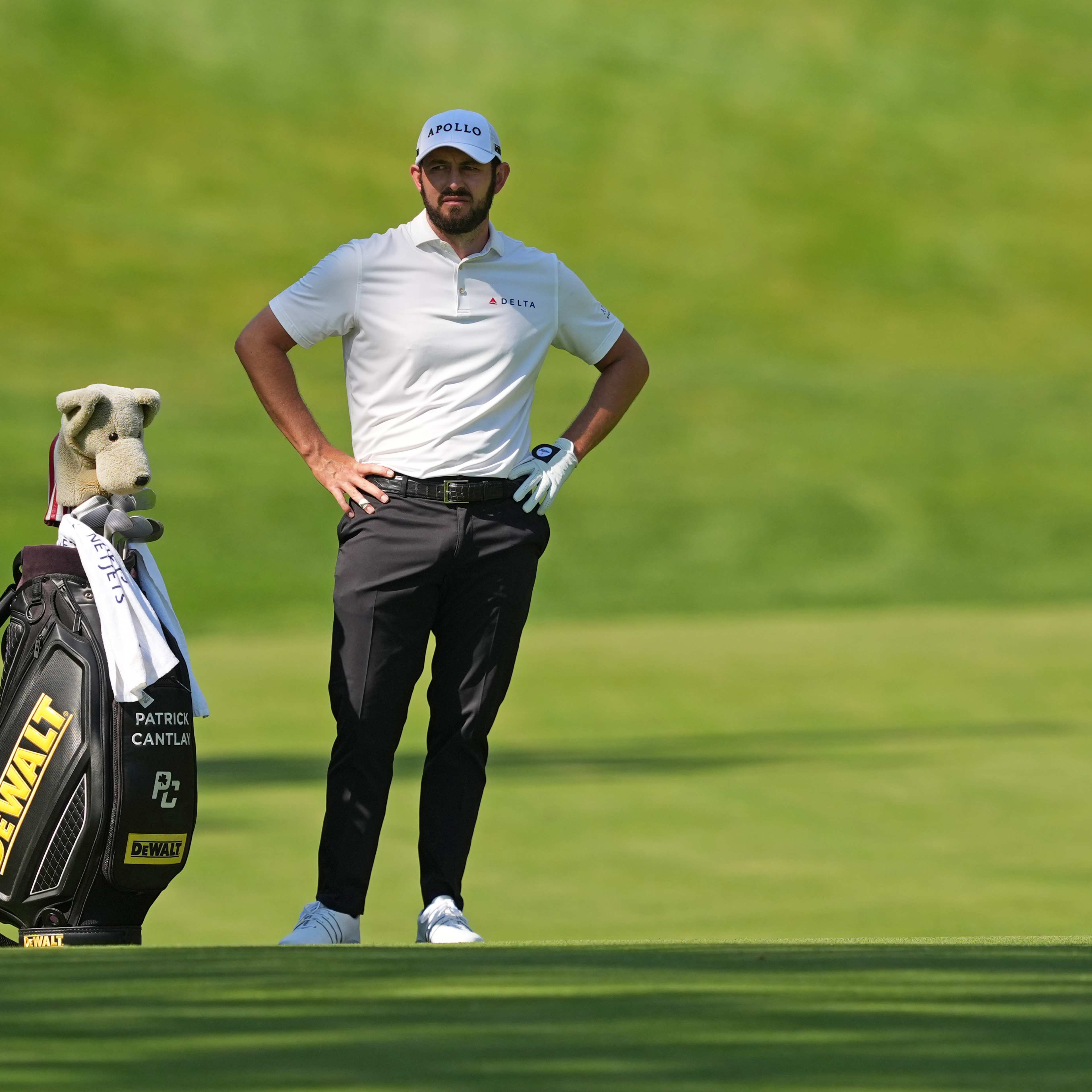 Patrick Cantlay betting profile: Travelers Championship