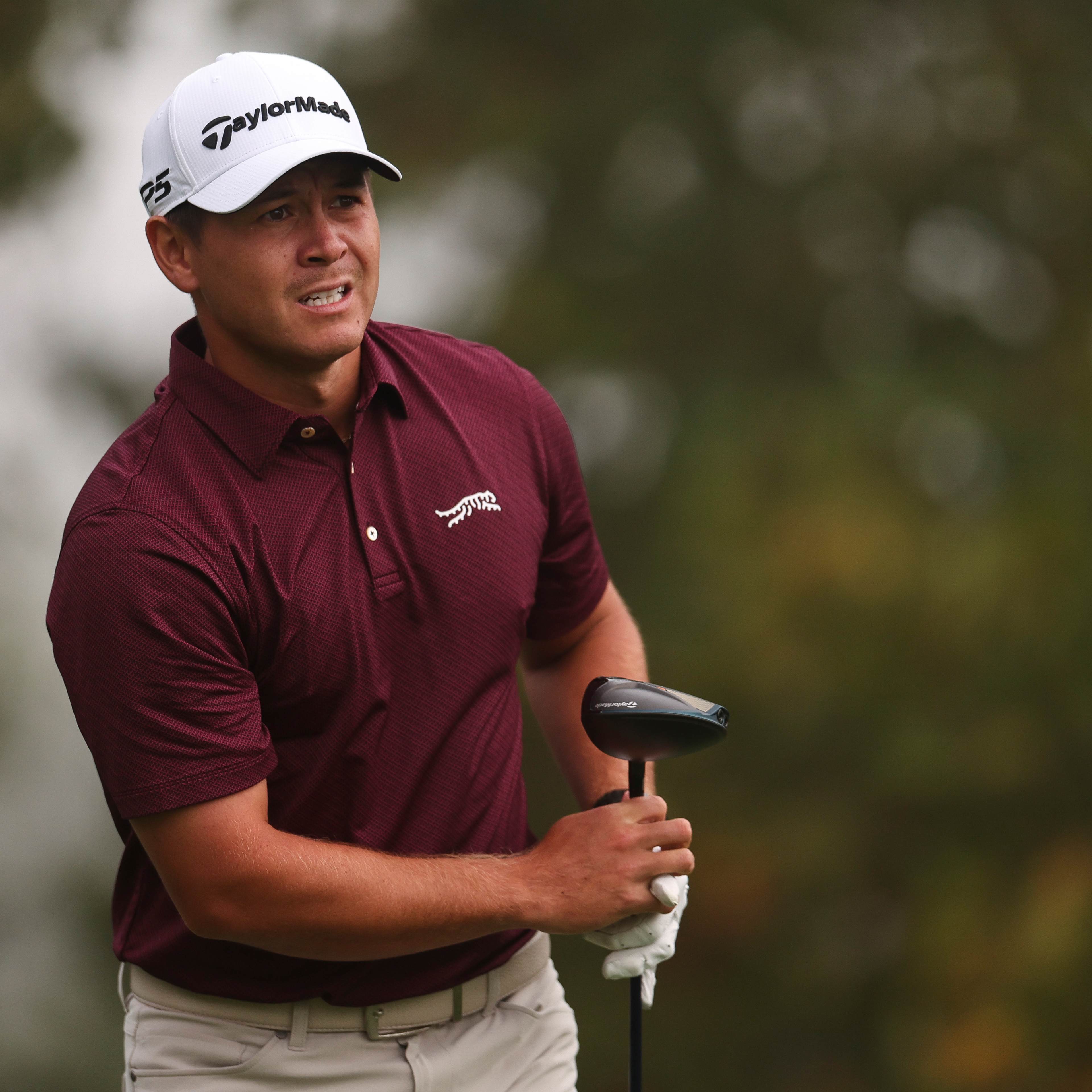Karl Vilips betting profile: VidantaWorld Mexico Open