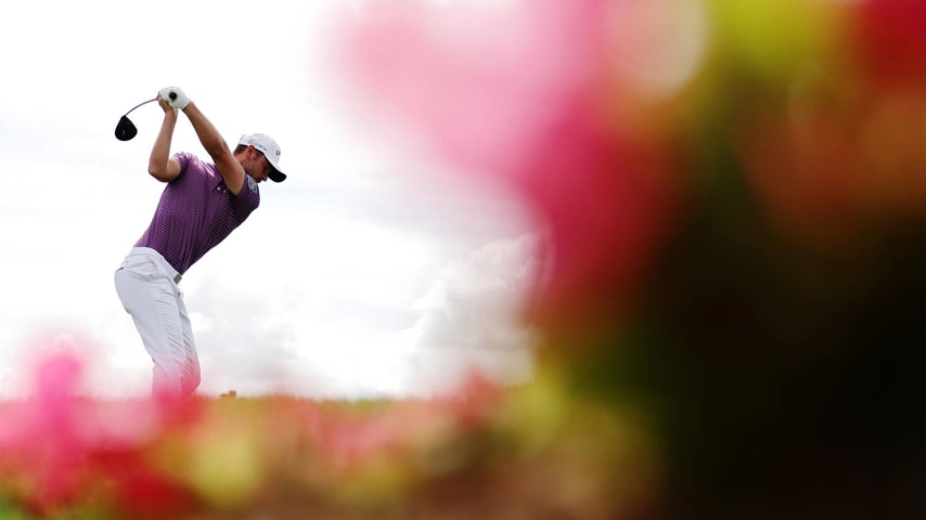 Adam Svensson Betting Profile: Arnold Palmer Invitational Presented By Mastercard