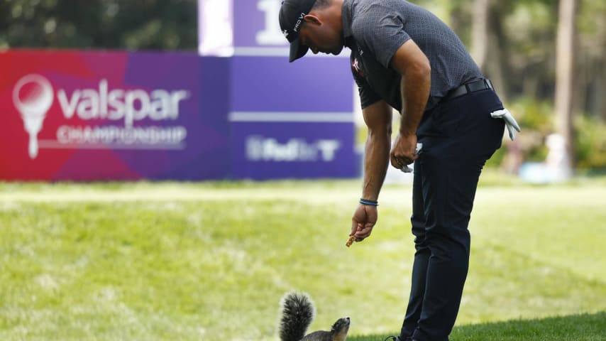 Rafael Campos Betting Profile: Texas Children's Houston Open