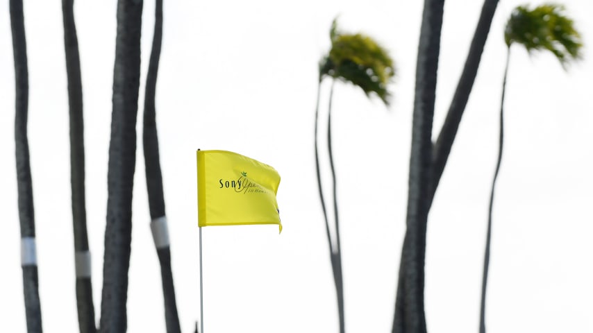 Image for article.