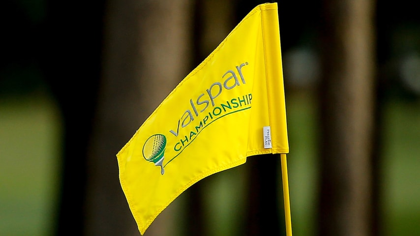 PALM HARBOR, FL - MARCH 08:  A general view of the flag during the first round of the Valspar Championship at Innisbrook Resort Copperhead Course on March 8, 2018 in Palm Harbor, Florida.  (Photo by Michael Reaves/Getty Images)