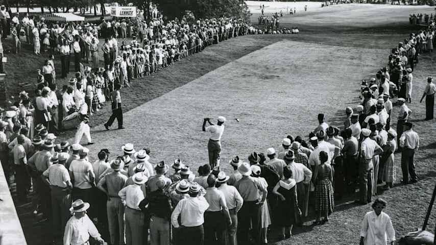 Image for article.