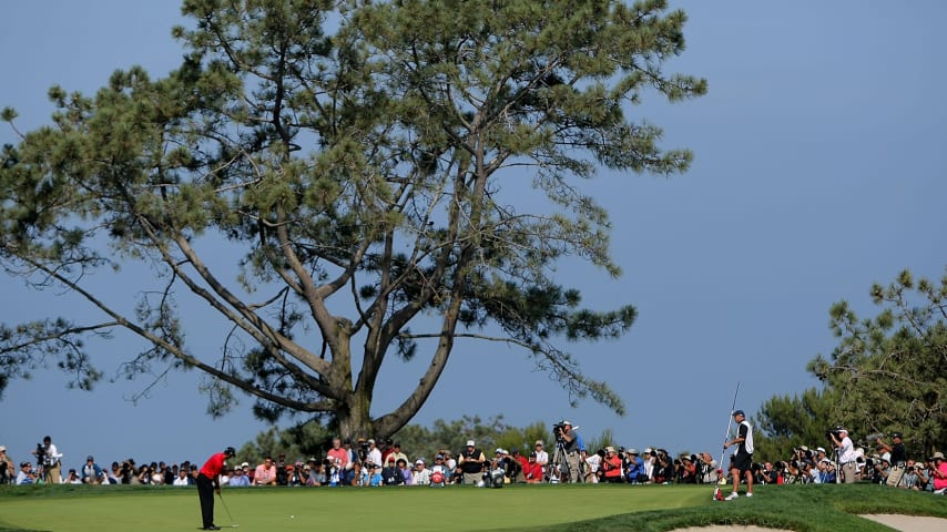 Nine things about Torrey Pines South