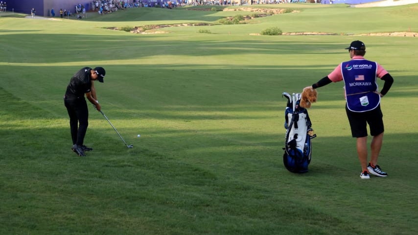 Winner's Bag: Collin Morikawa, DP World Tour Championship & Race to Dubai