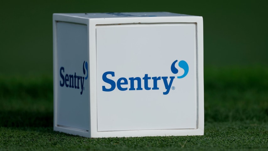 LAHAINA, HAWAII - JANUARY 03: A tee marker is displayed during a practice round prior to the Sentry Tournament of Champions at Plantation Course at Kapalua Golf Club on January 03, 2022 in Lahaina, Hawaii. (Photo by Cliff Hawkins/Getty Images)