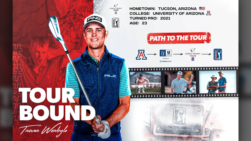 Arizona alum Trevor Werbylo fulfills childhood dream, punches ticket to PGA TOUR