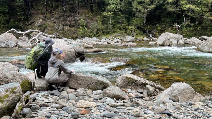 Kramer Hickok and Anne Hakula spent their long-delayed December honeymoon deep into Kahurangi National Park on New Zealand’s South Island. (Courtesy Kramer Hickok)