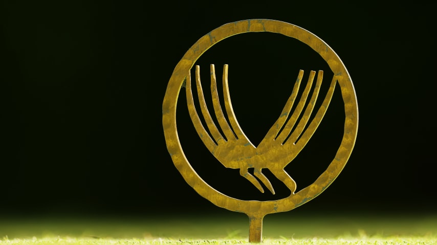 Image for article.