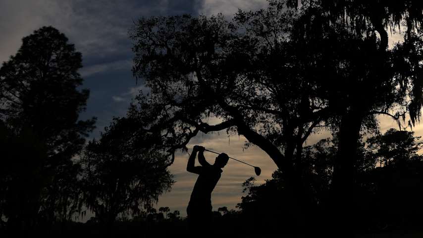 Image for article.