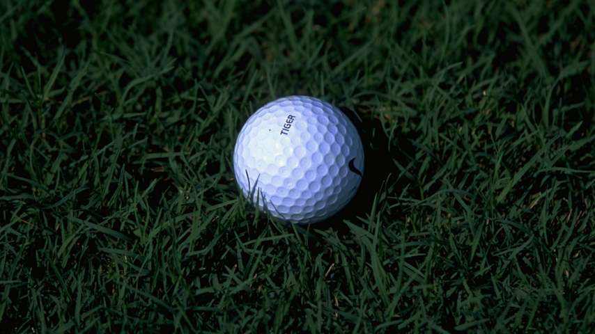 A close look at Tiger Woods' Nike ball. (David Cannon/Allsport)
