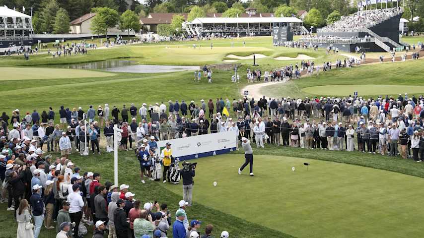Image for article.