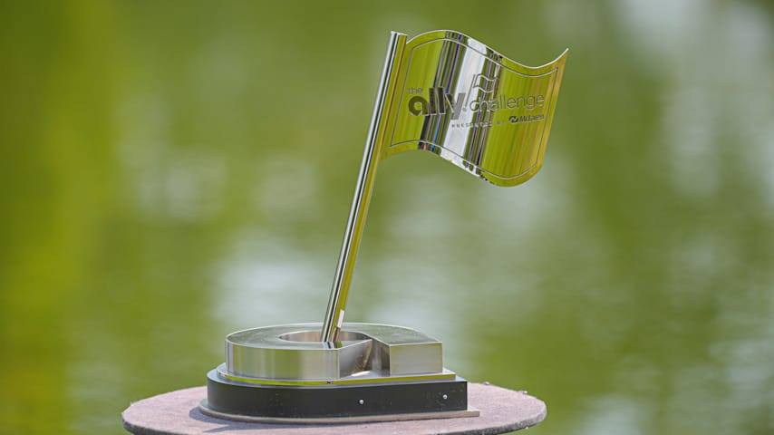 Image for article.