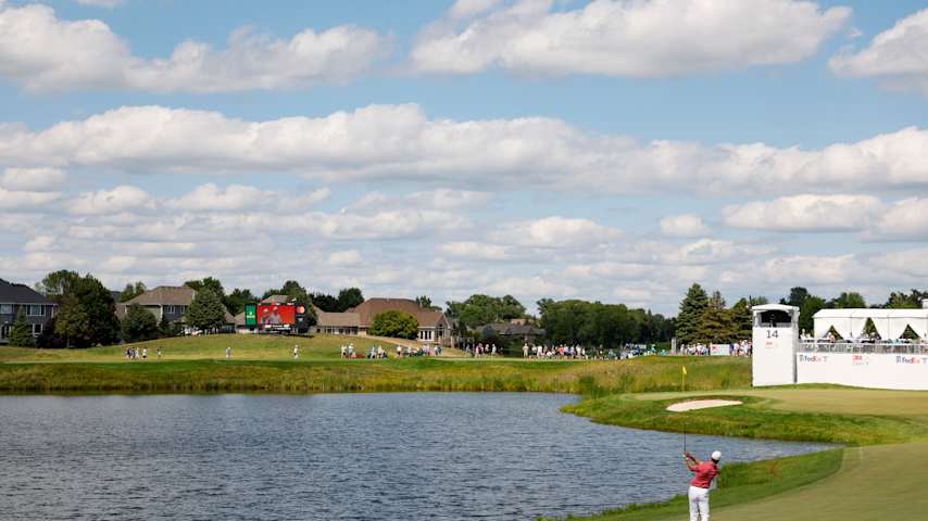 Image for article.