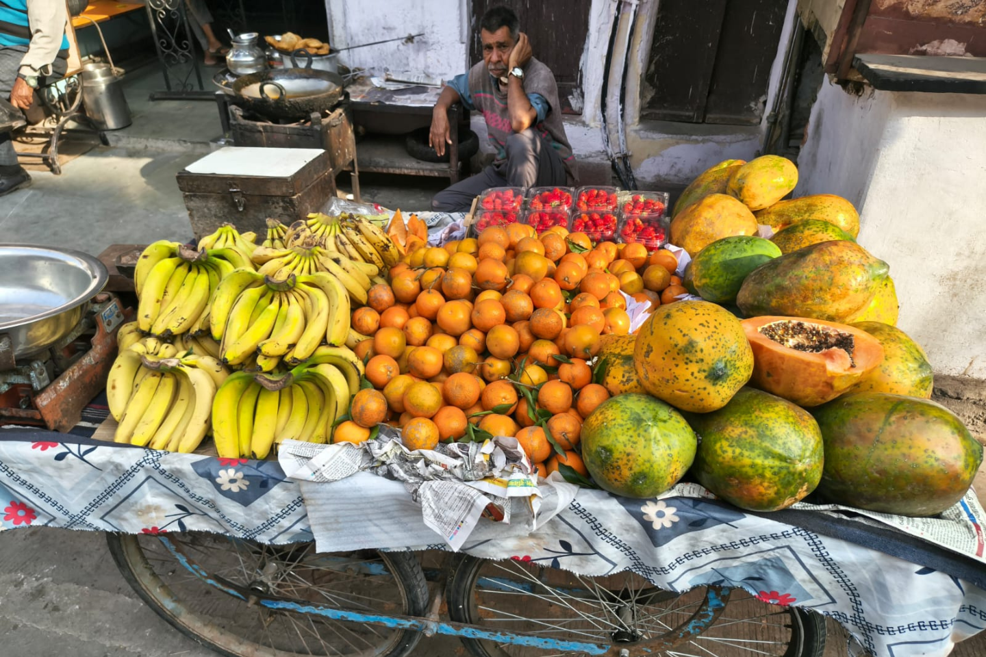 Jaipur Tour Photo