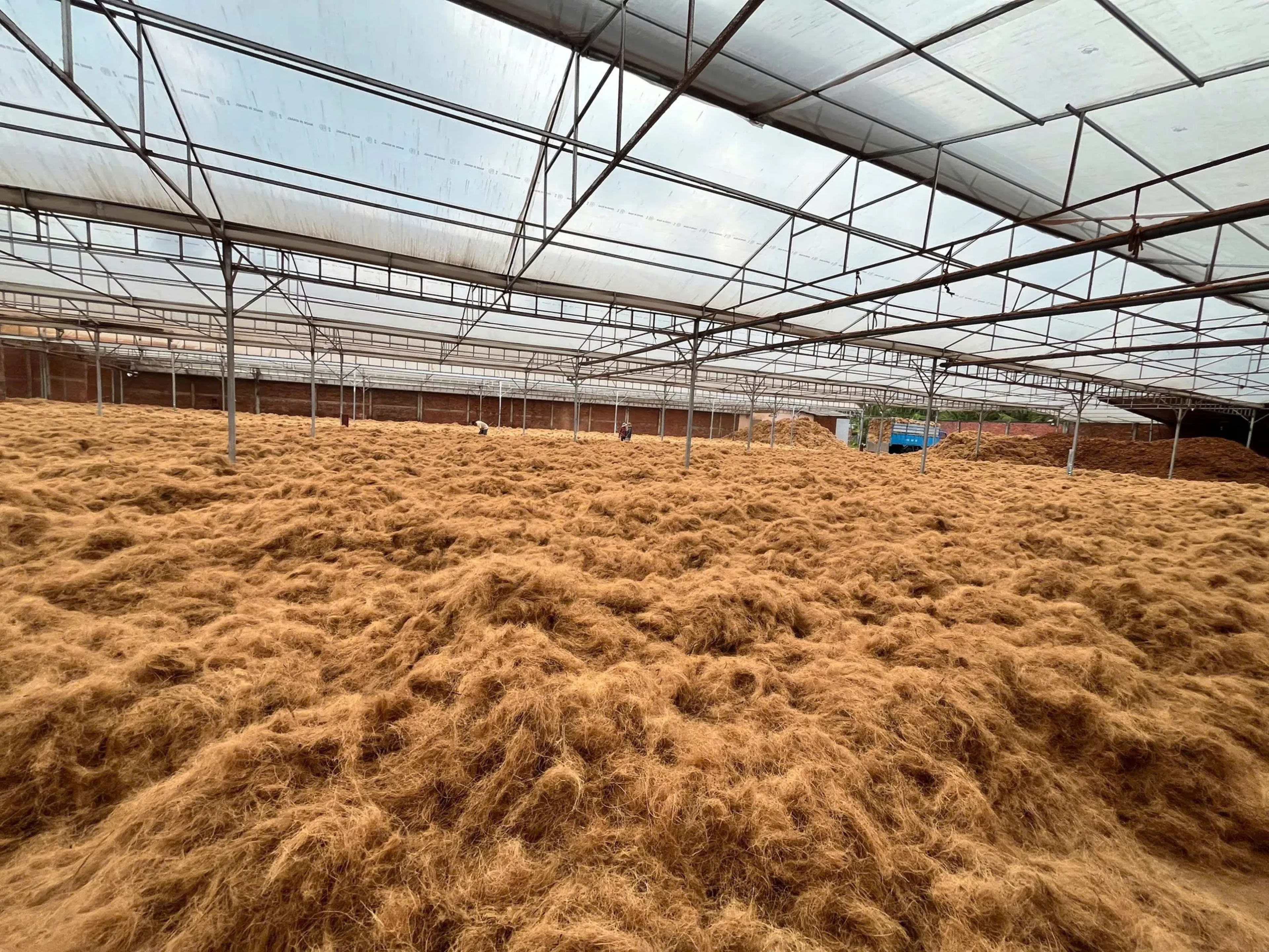 Coir Fiber 2