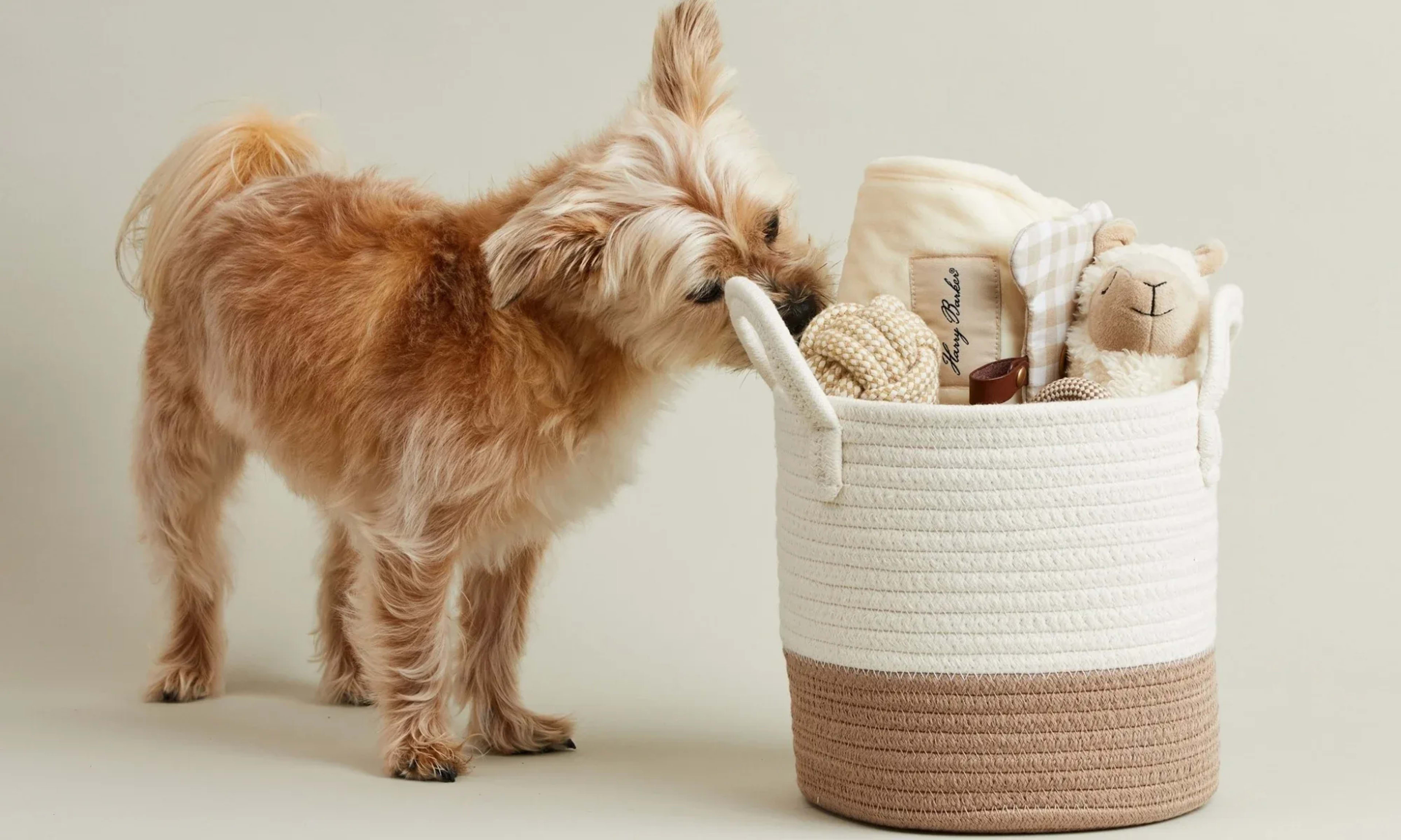 Coffee Wood Dog Chews