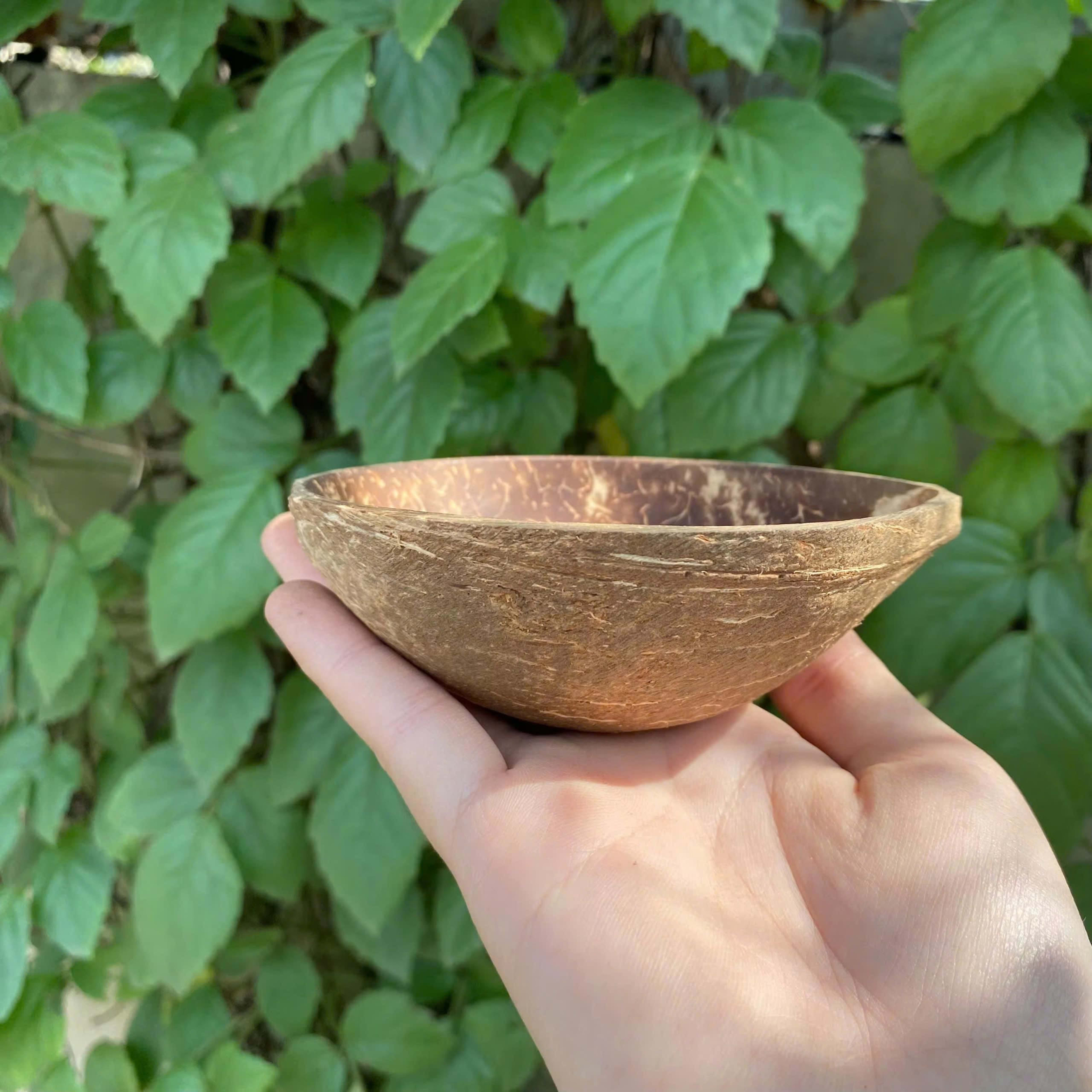 Coconut Shell Bowl for Ice Cream