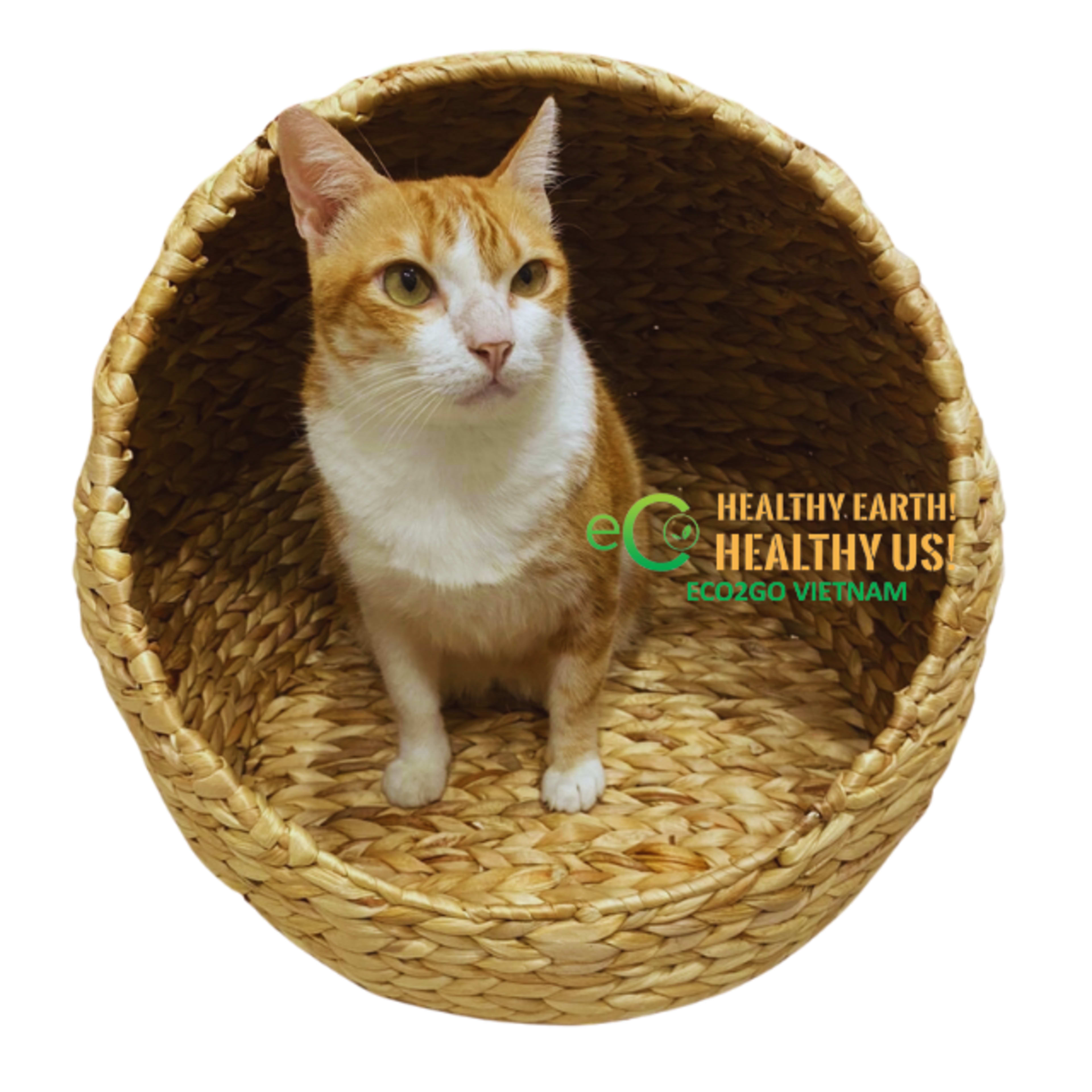 Pet care