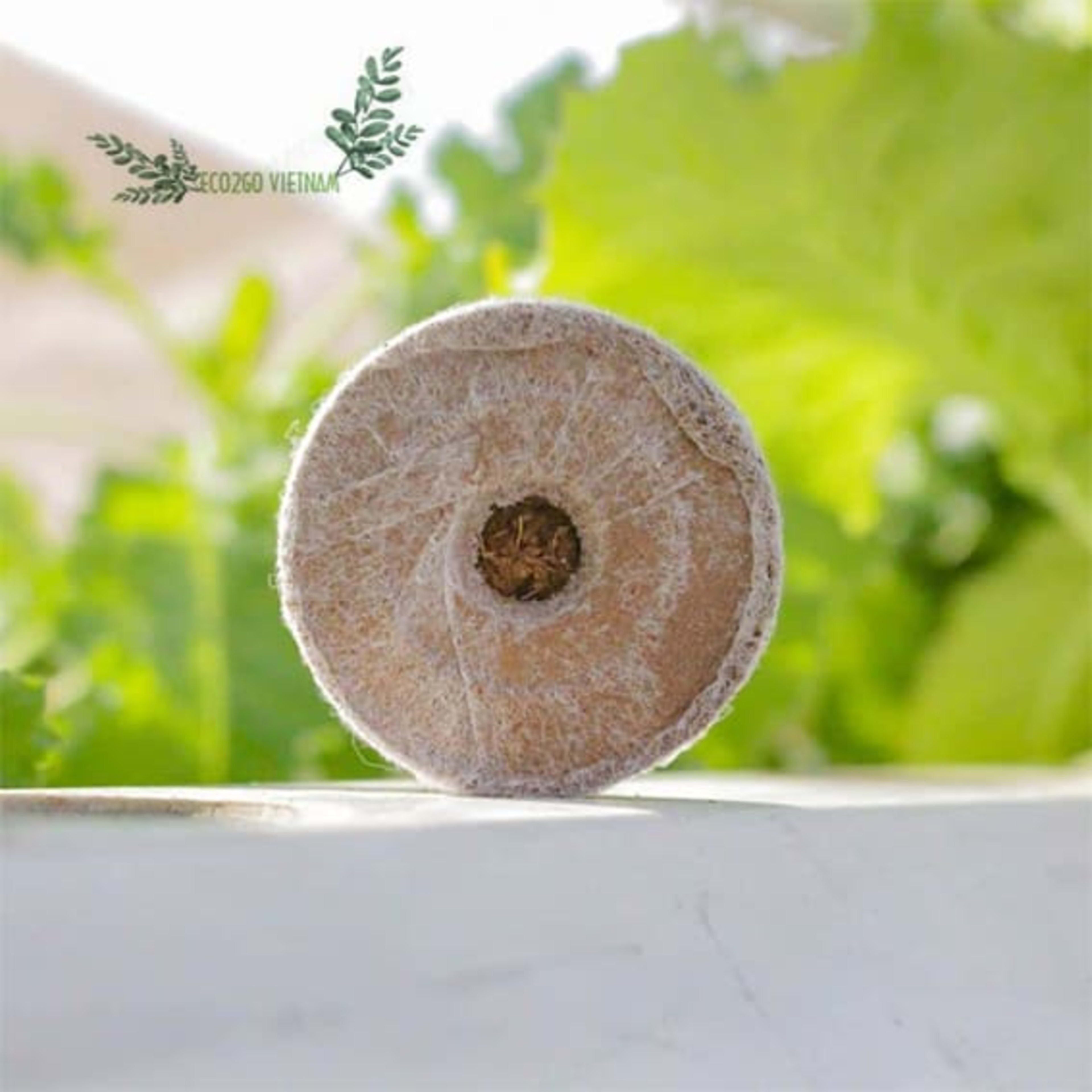 Coir Discs