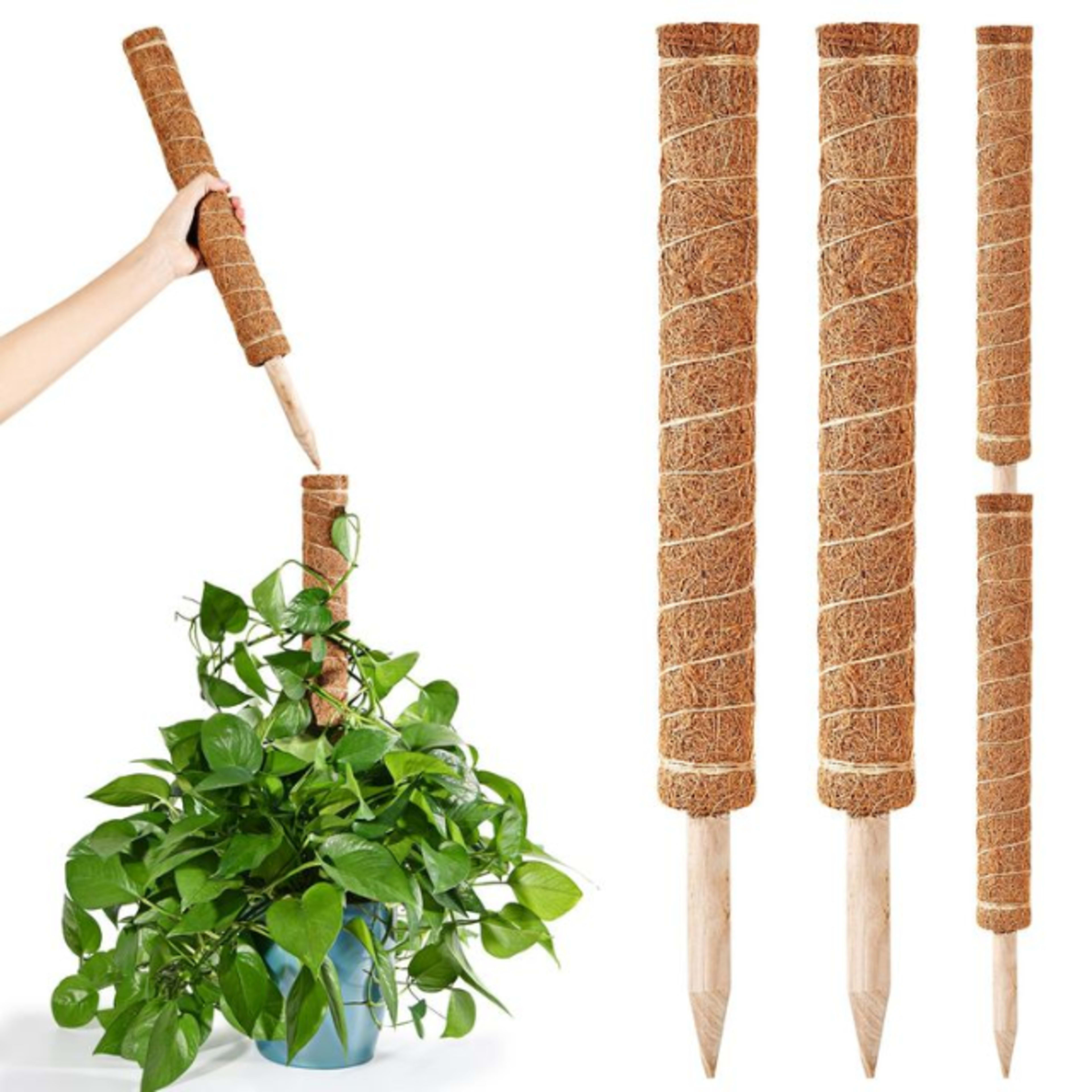 Moss Poles