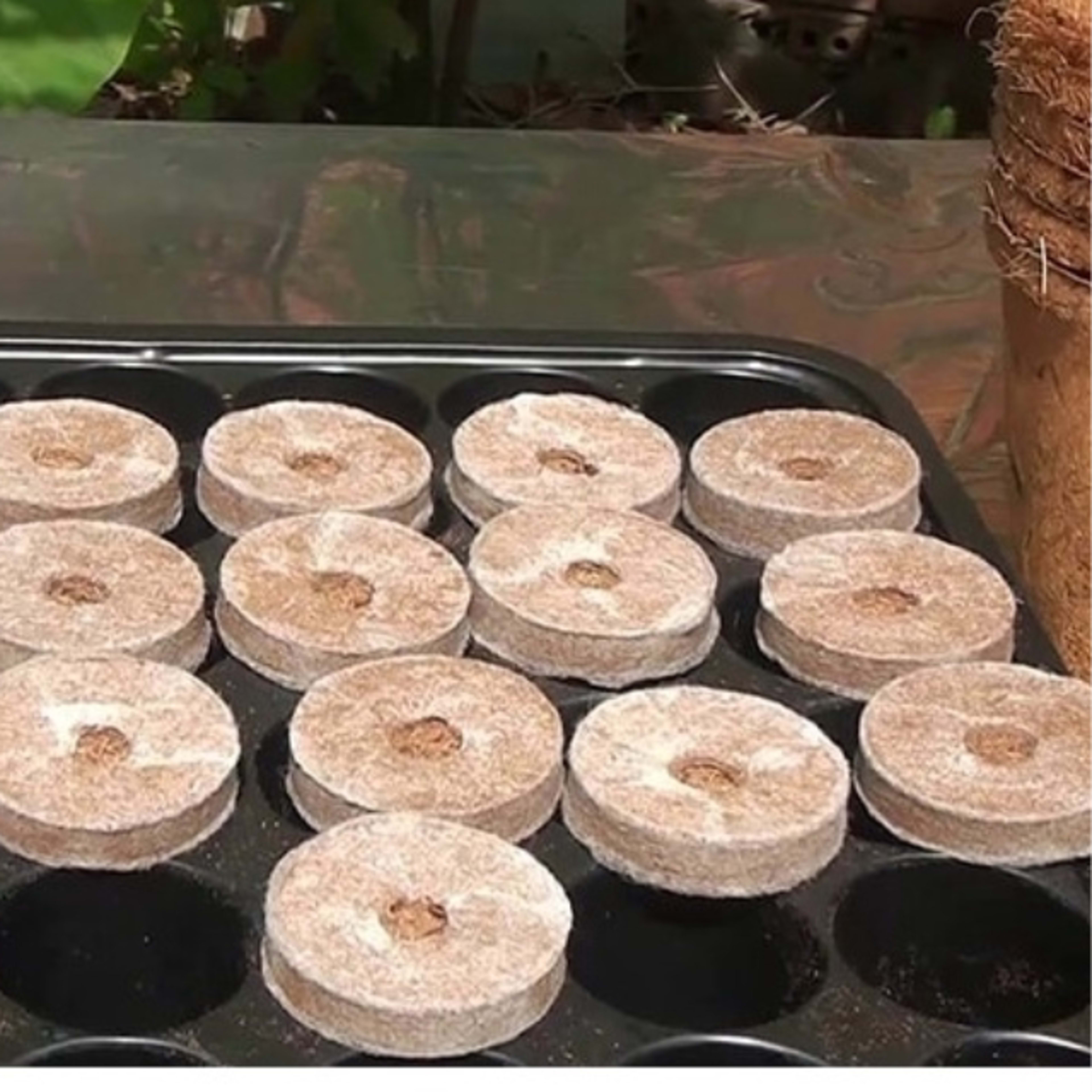coir pellet 4