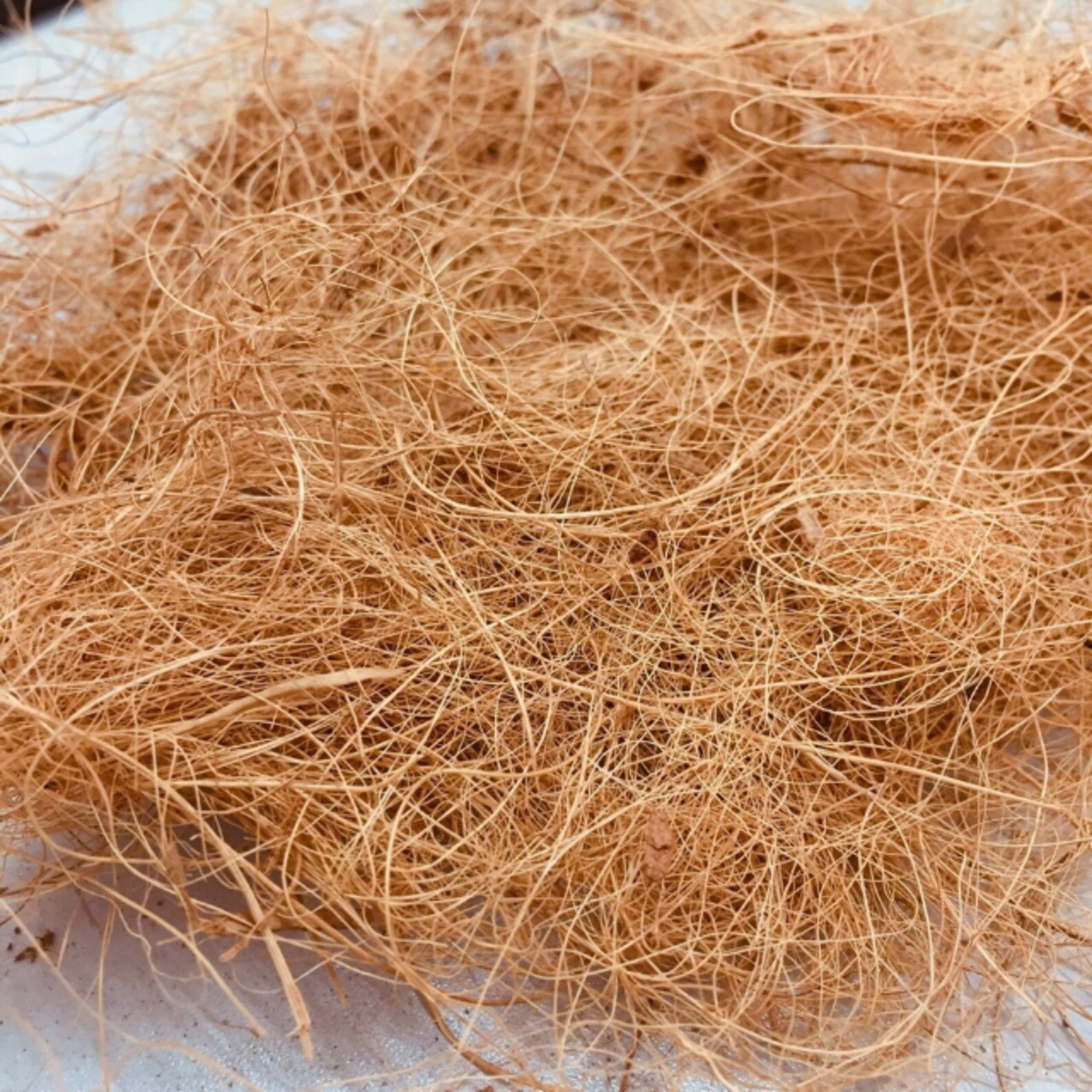 Coir Fiber
