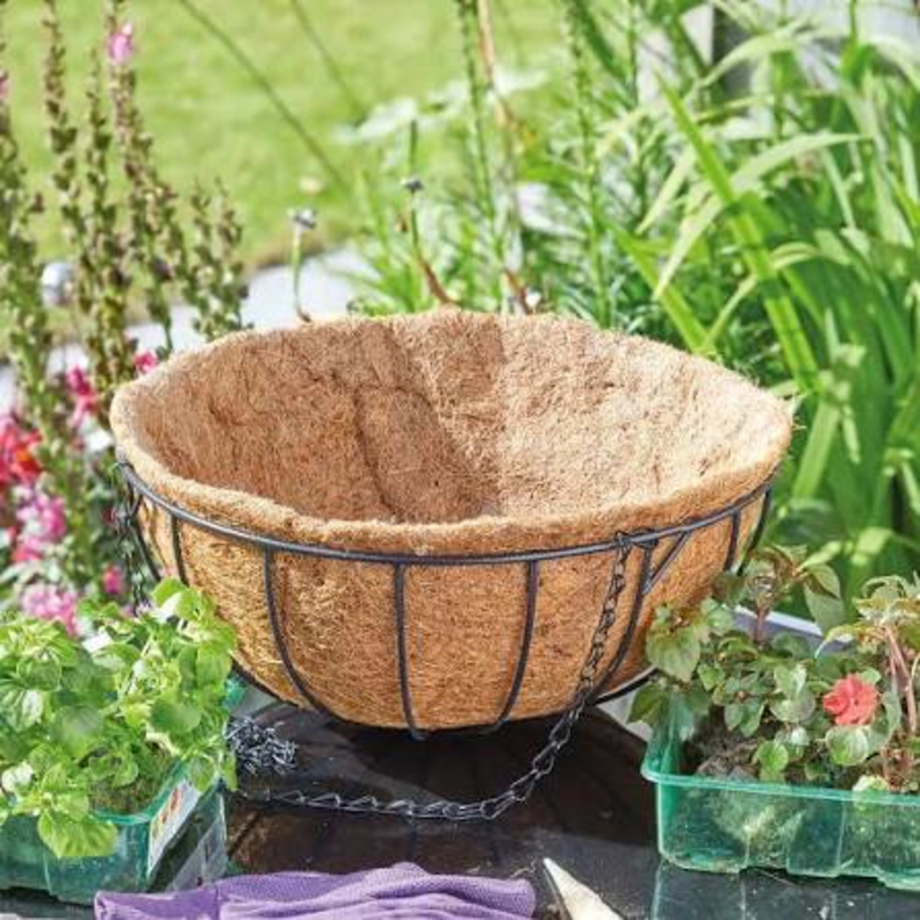Hanging Baskets
