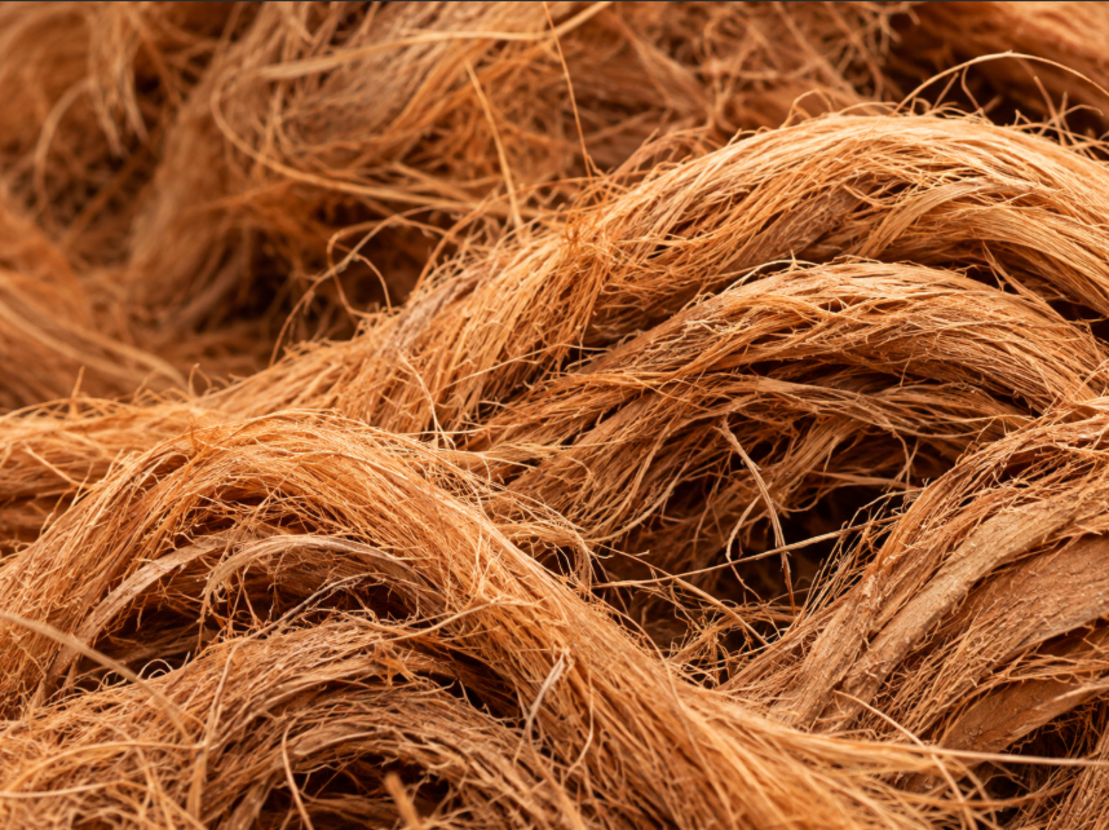 Natural coir fibre