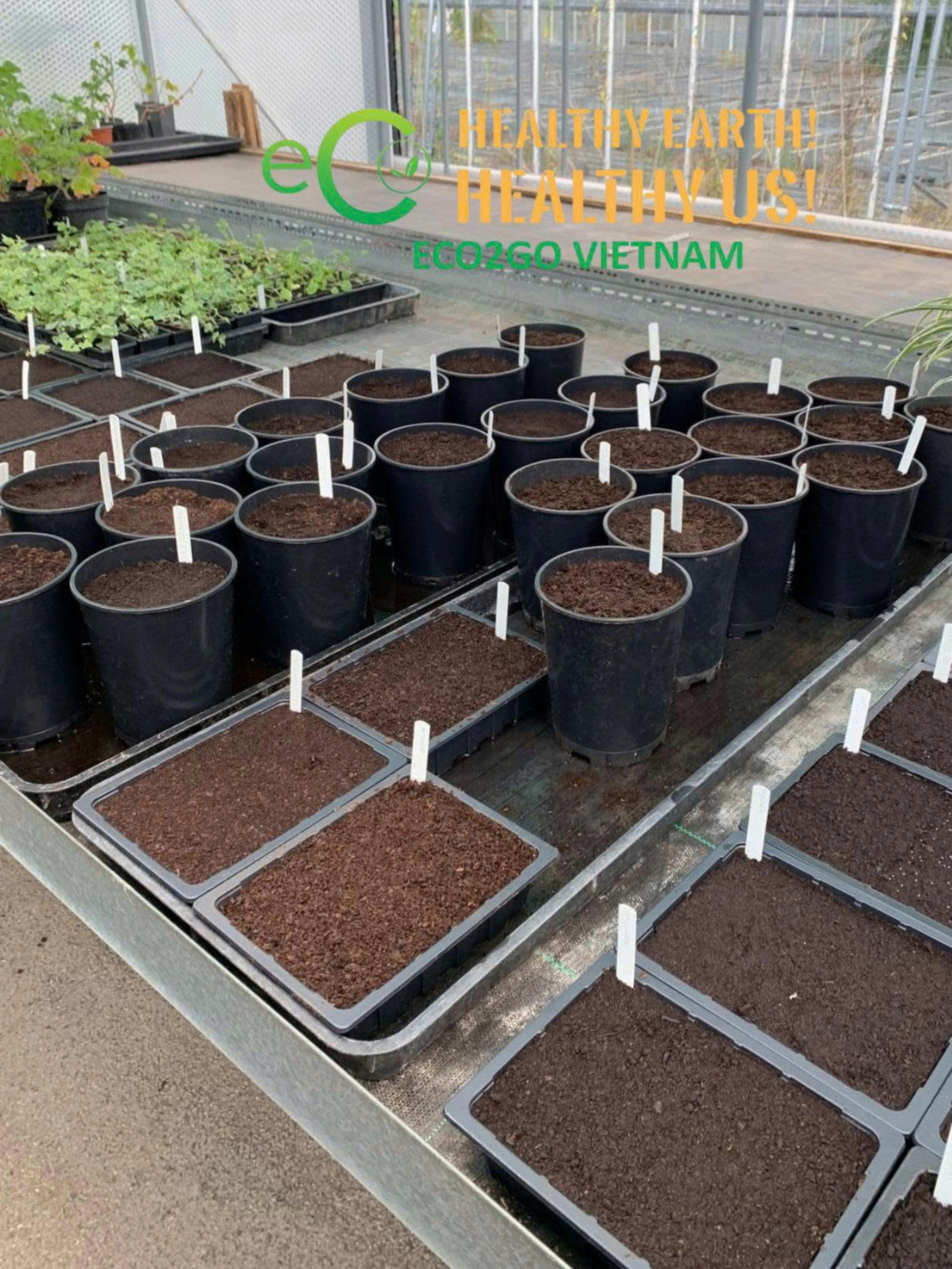 Coco Peat Blocks 3